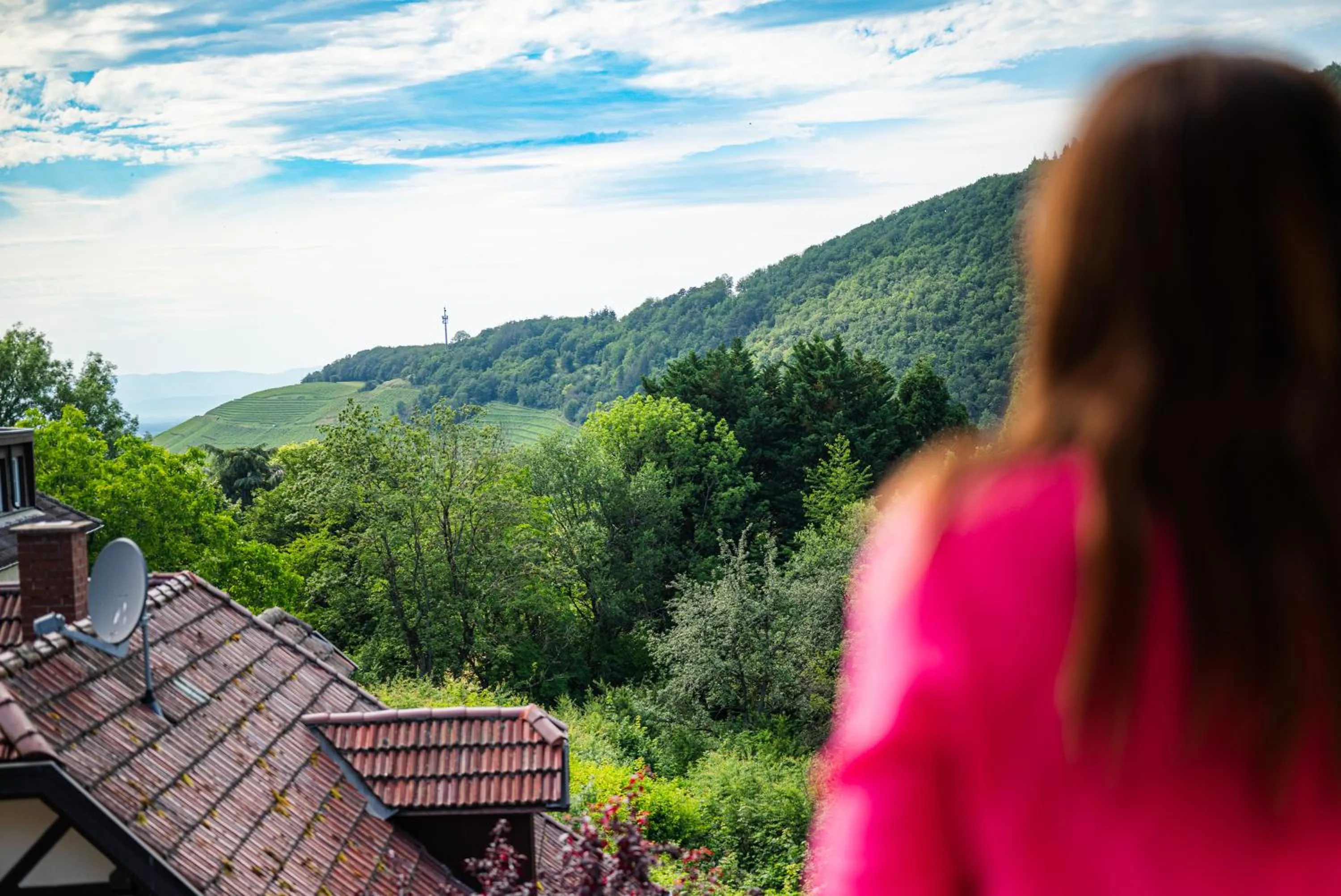 Photo of the whole room in Hotel Anna
