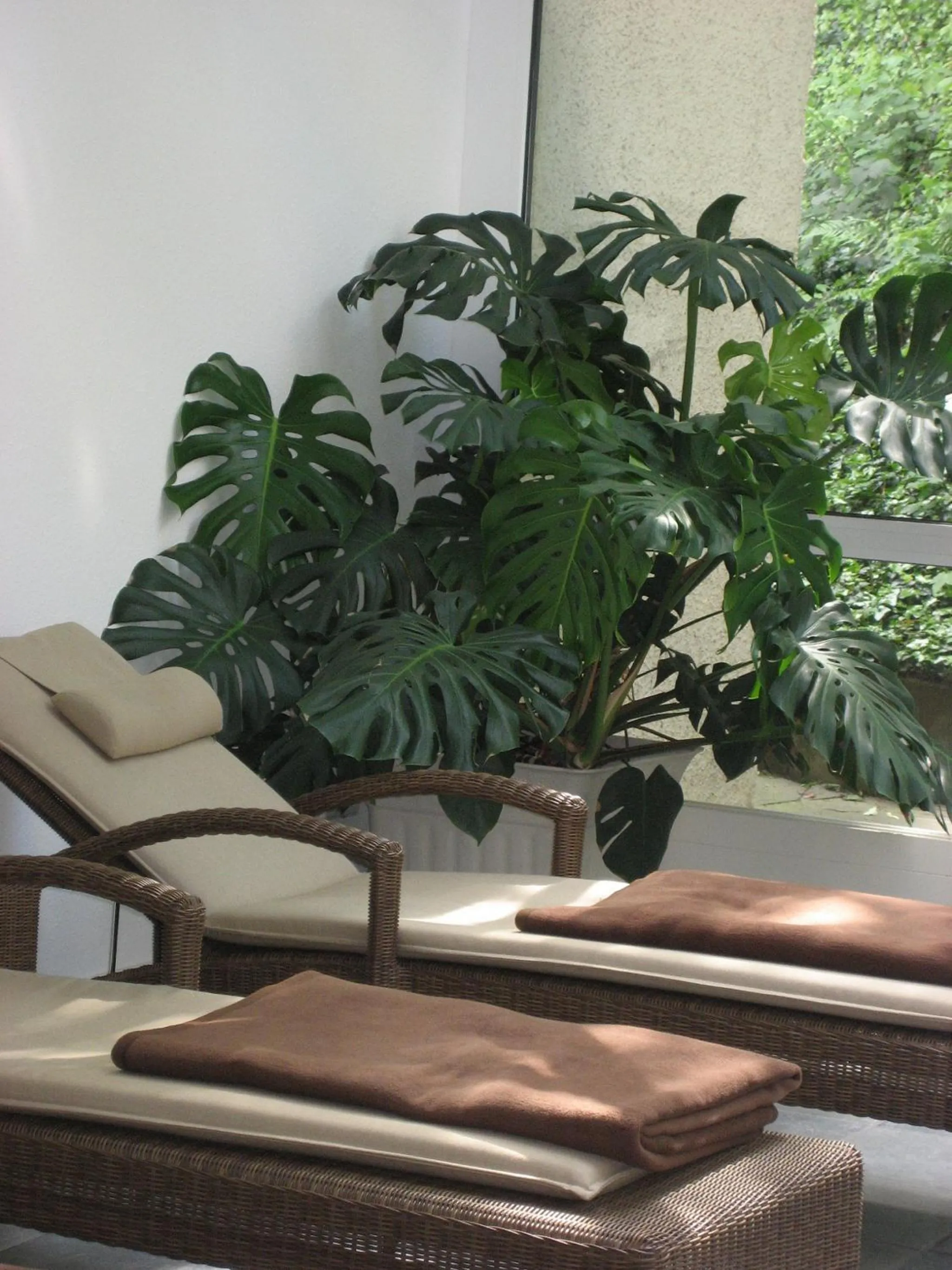 Spa and wellness centre/facilities in Hotel Anna