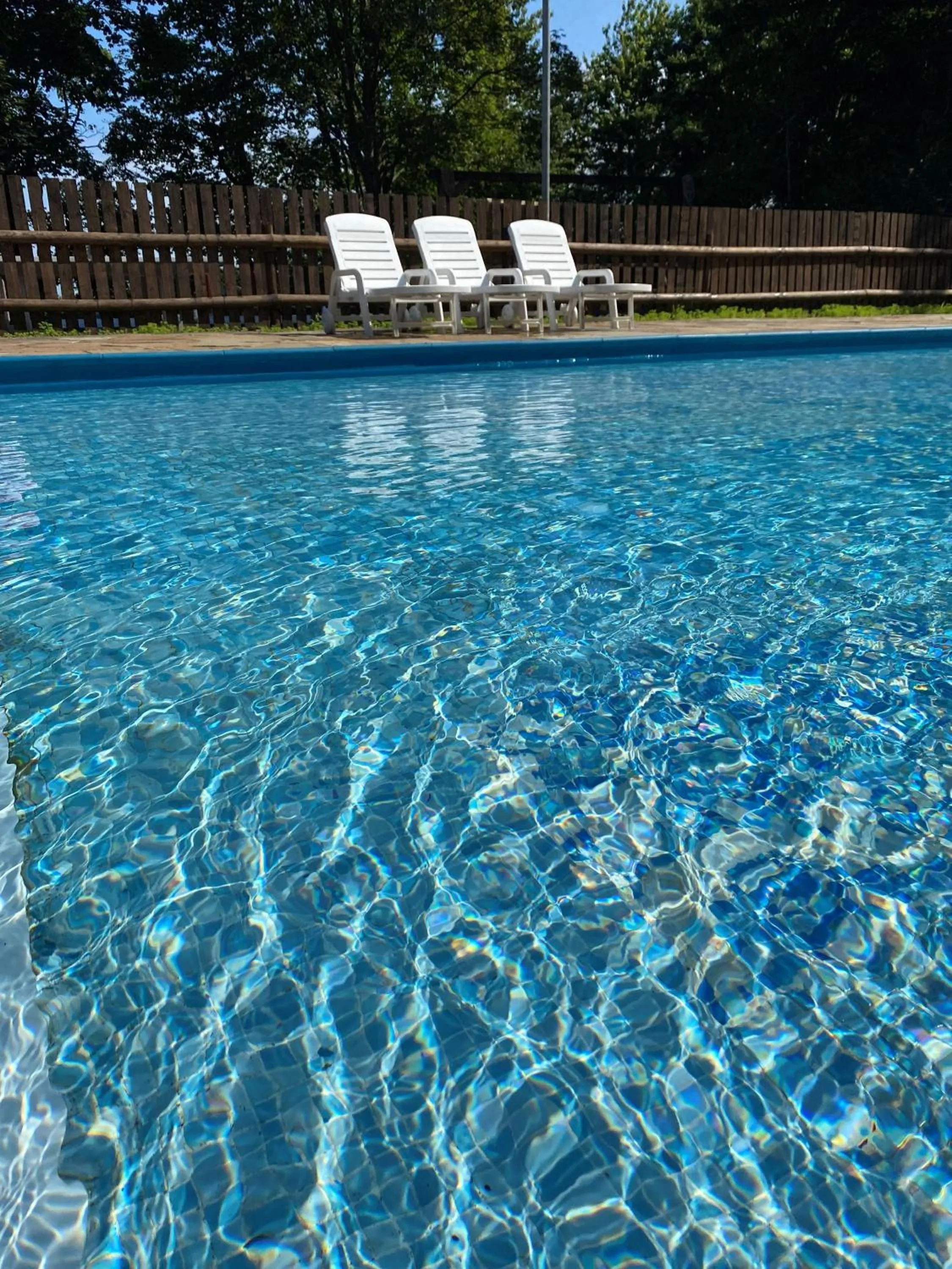 Swimming Pool in Watermouth Lodges