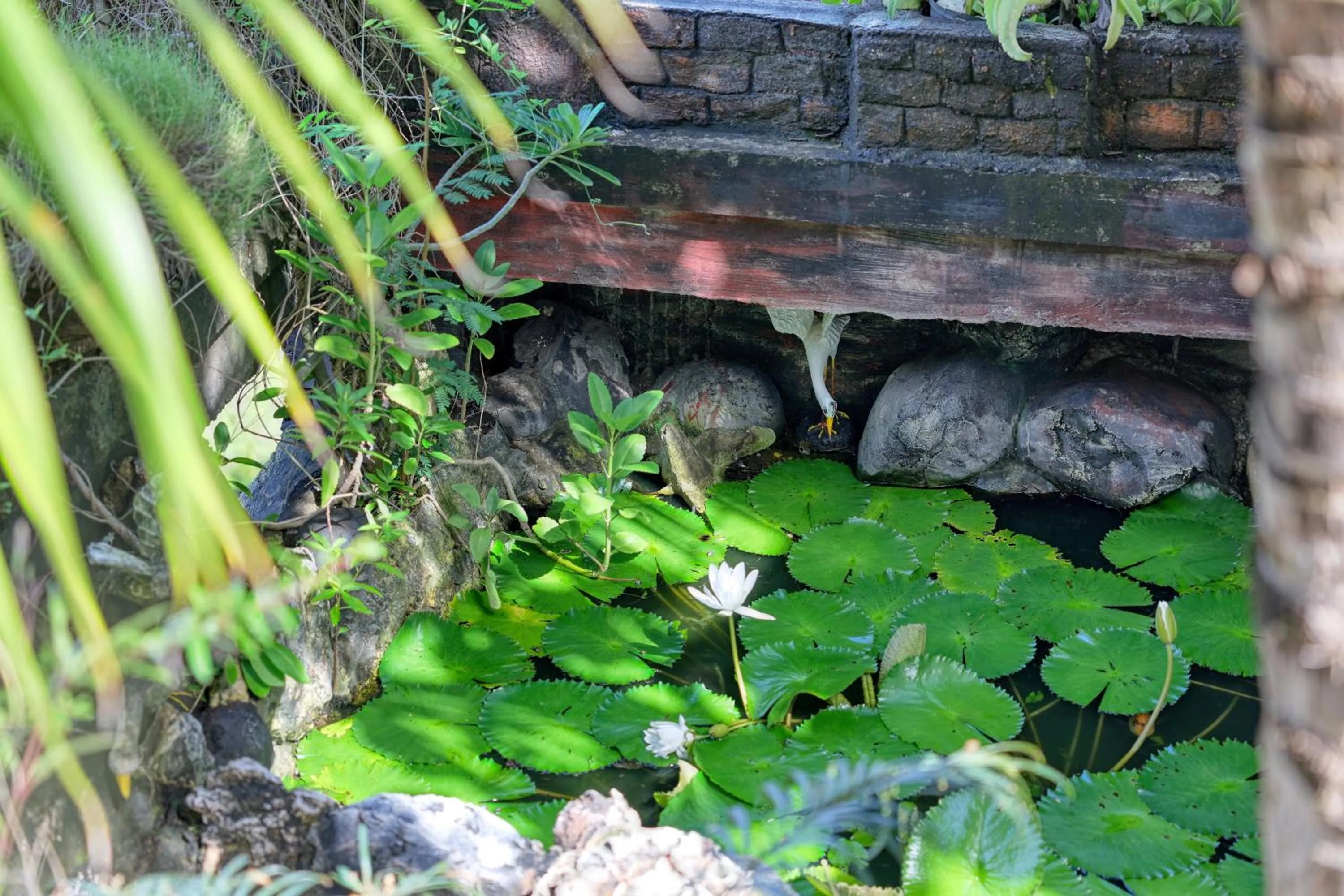 Other in Bagus Cottage