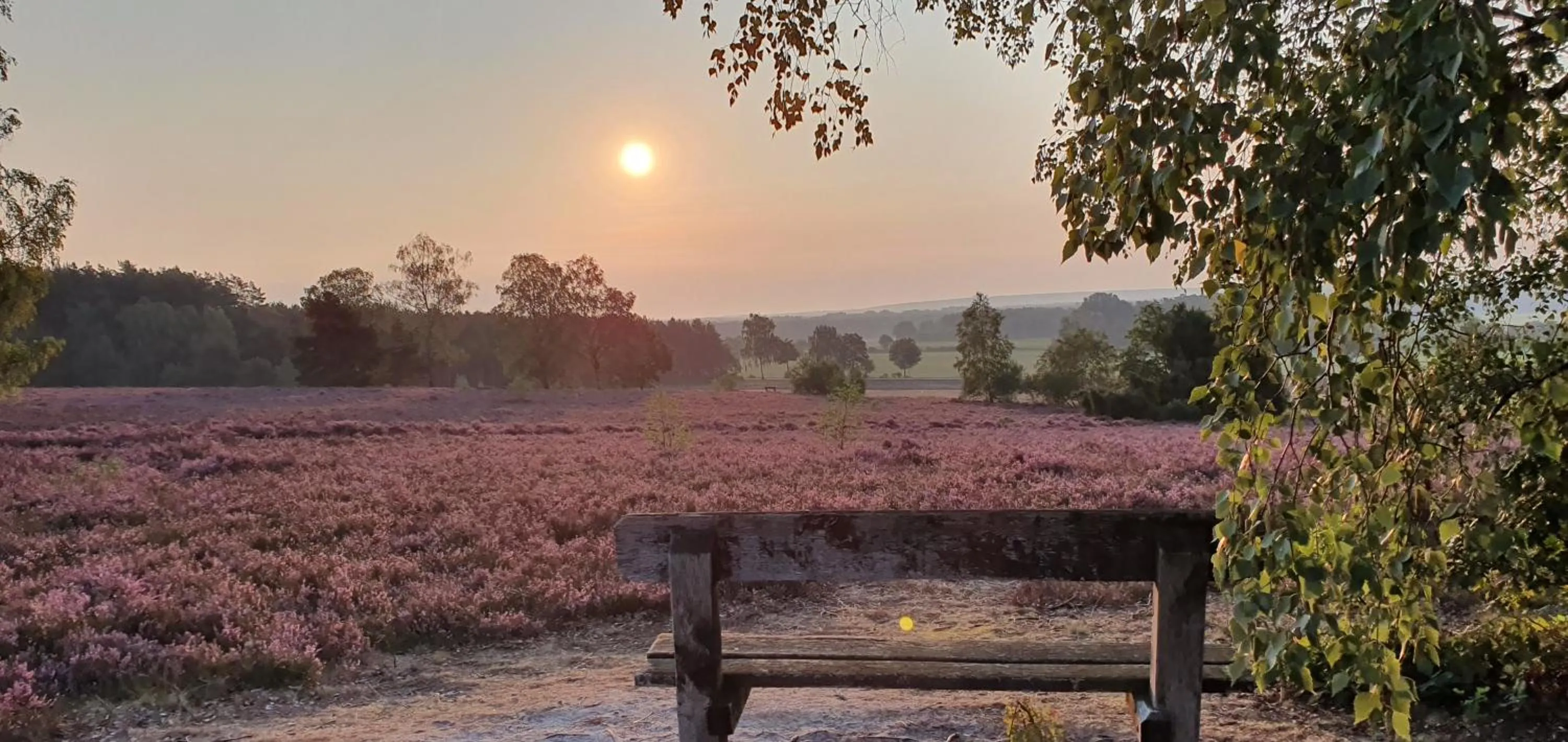 Residenzia Hotel Grenadier