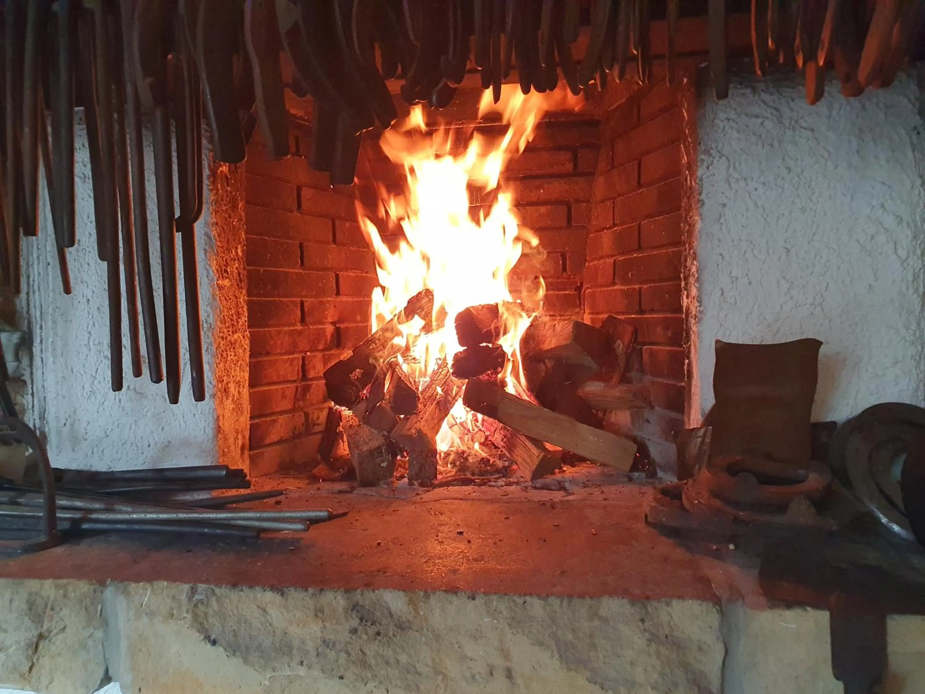 flat iron in Gasthof Alte Schmiede G*** Lückendorf