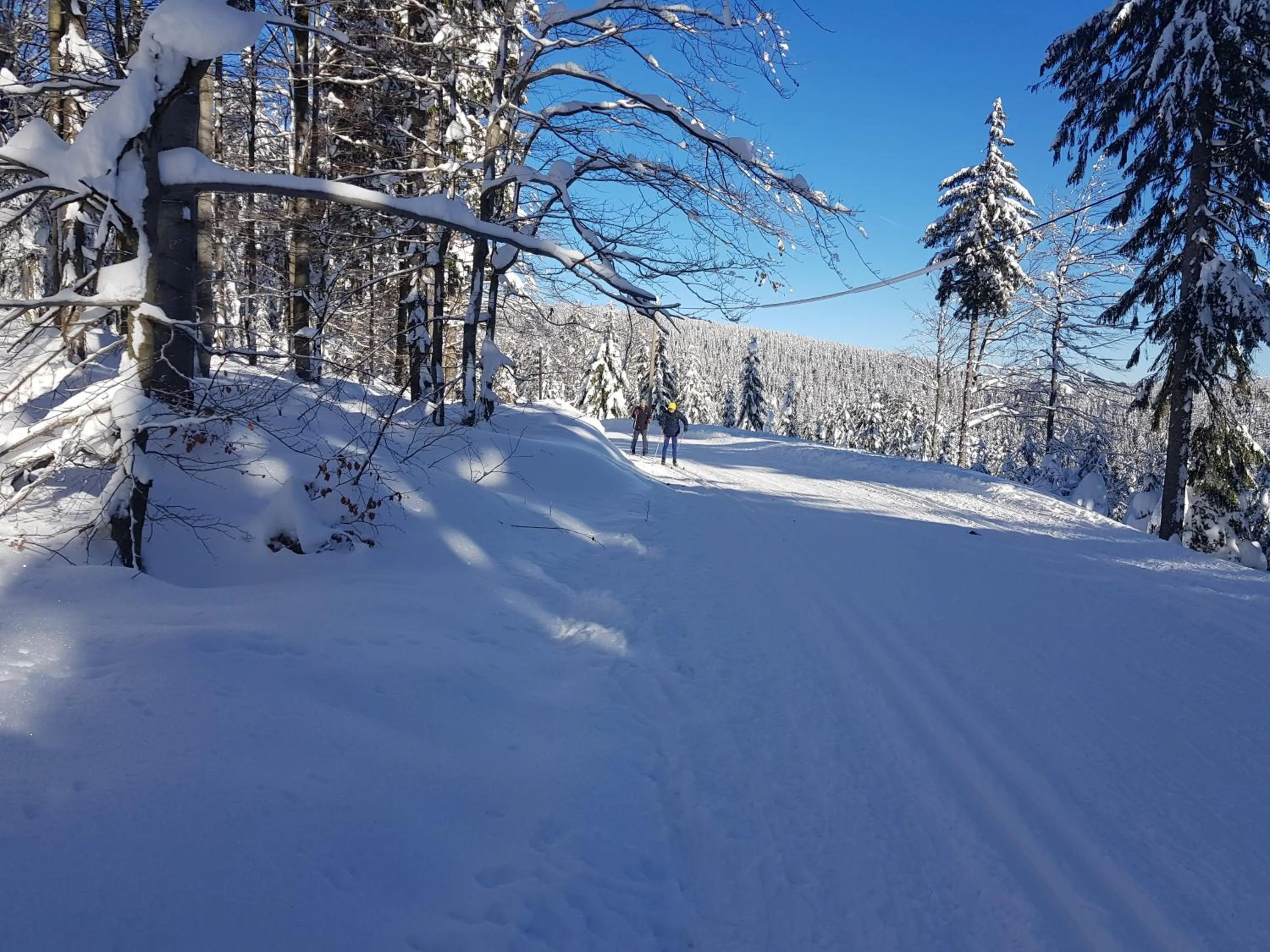 Natural landscape in Gasthof Alte Schmiede G*** Lückendorf