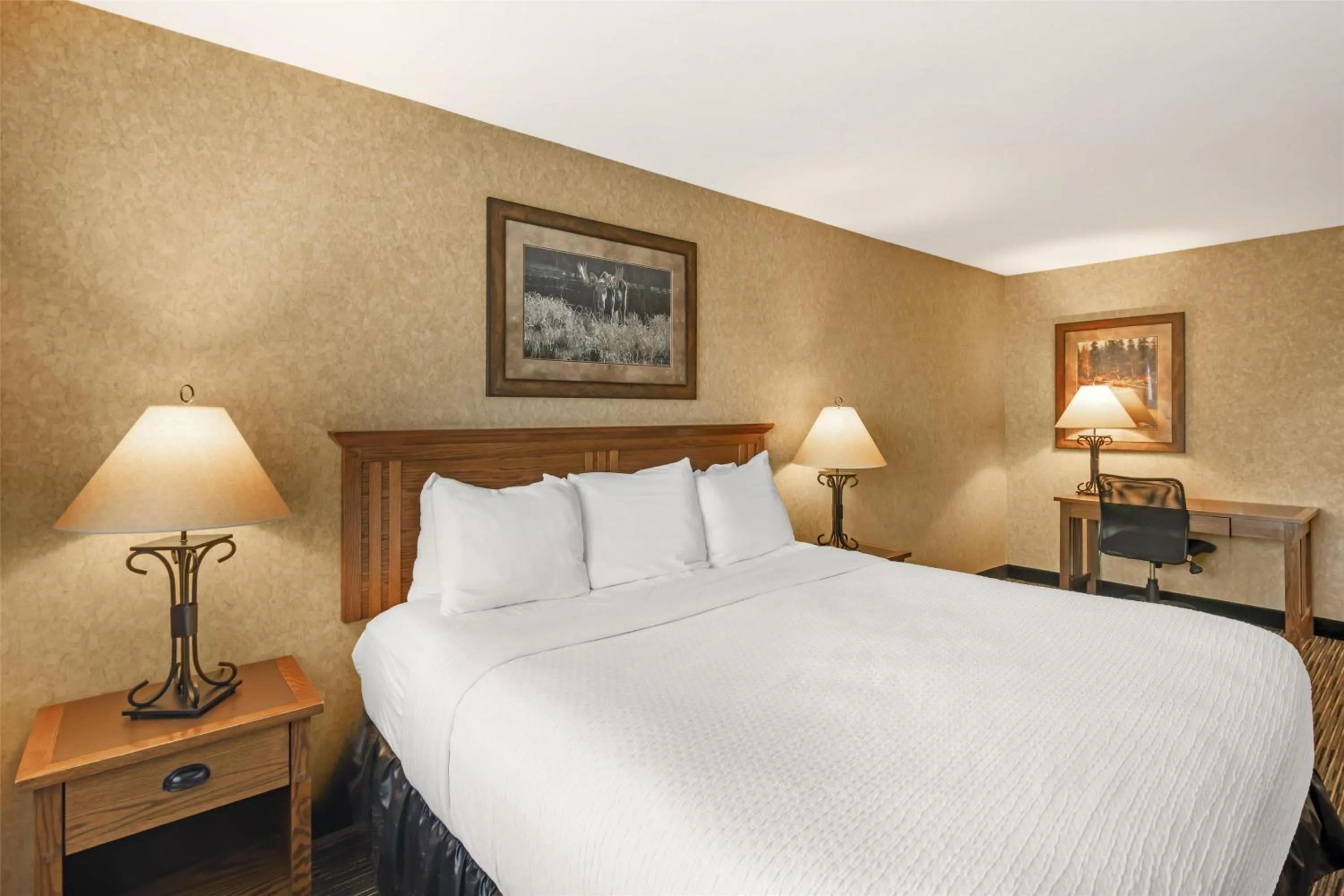 Bedroom, Bed in Best Western Plus Kelly Inn and Suites