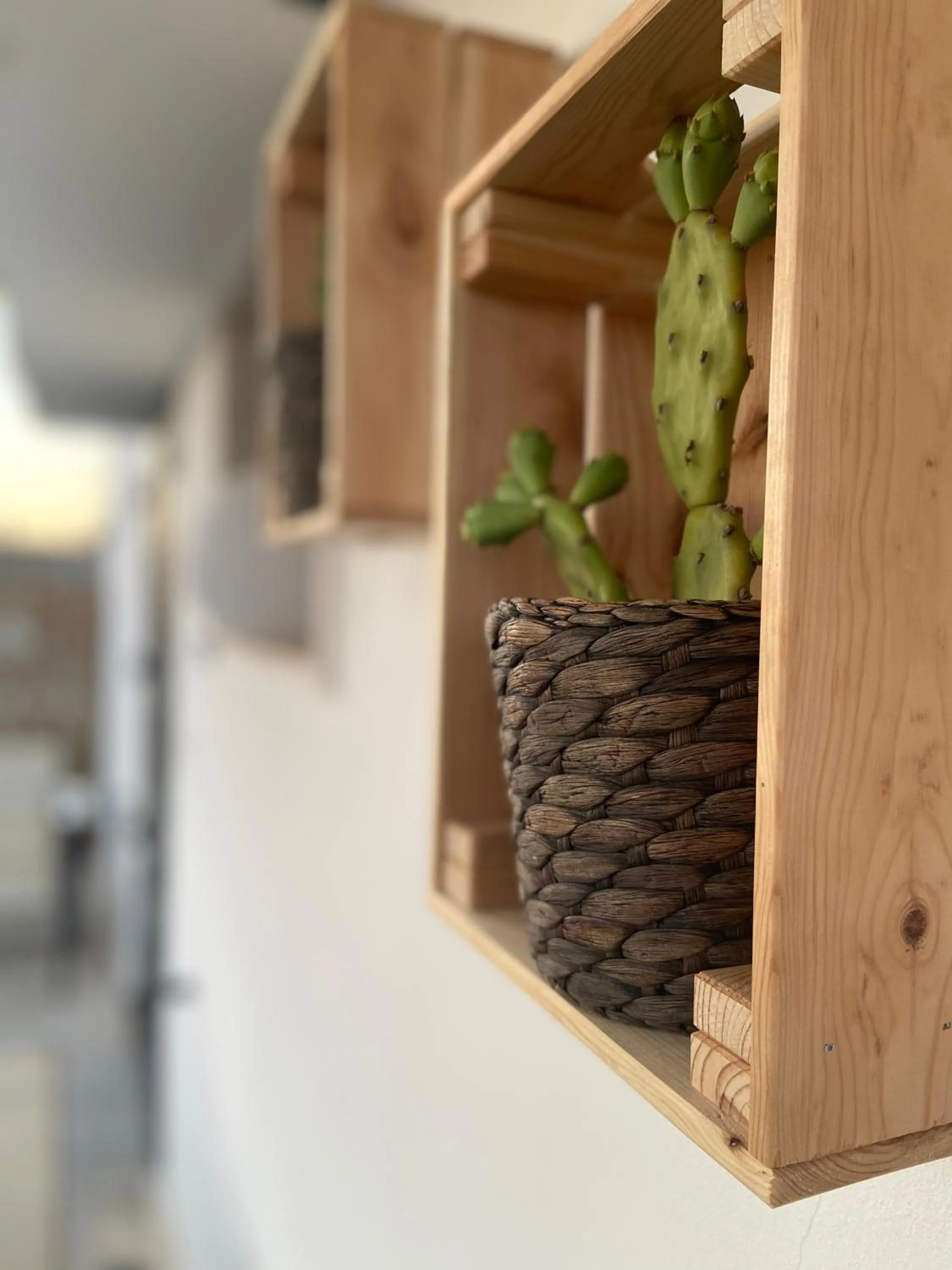 Balcony/Terrace in B&B Brezza Salentina