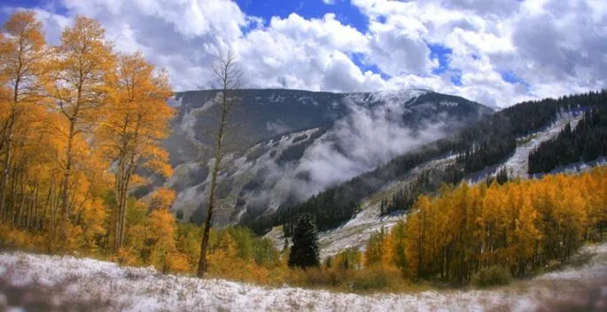 Natural landscape in GetAways at Falcon Point Resort