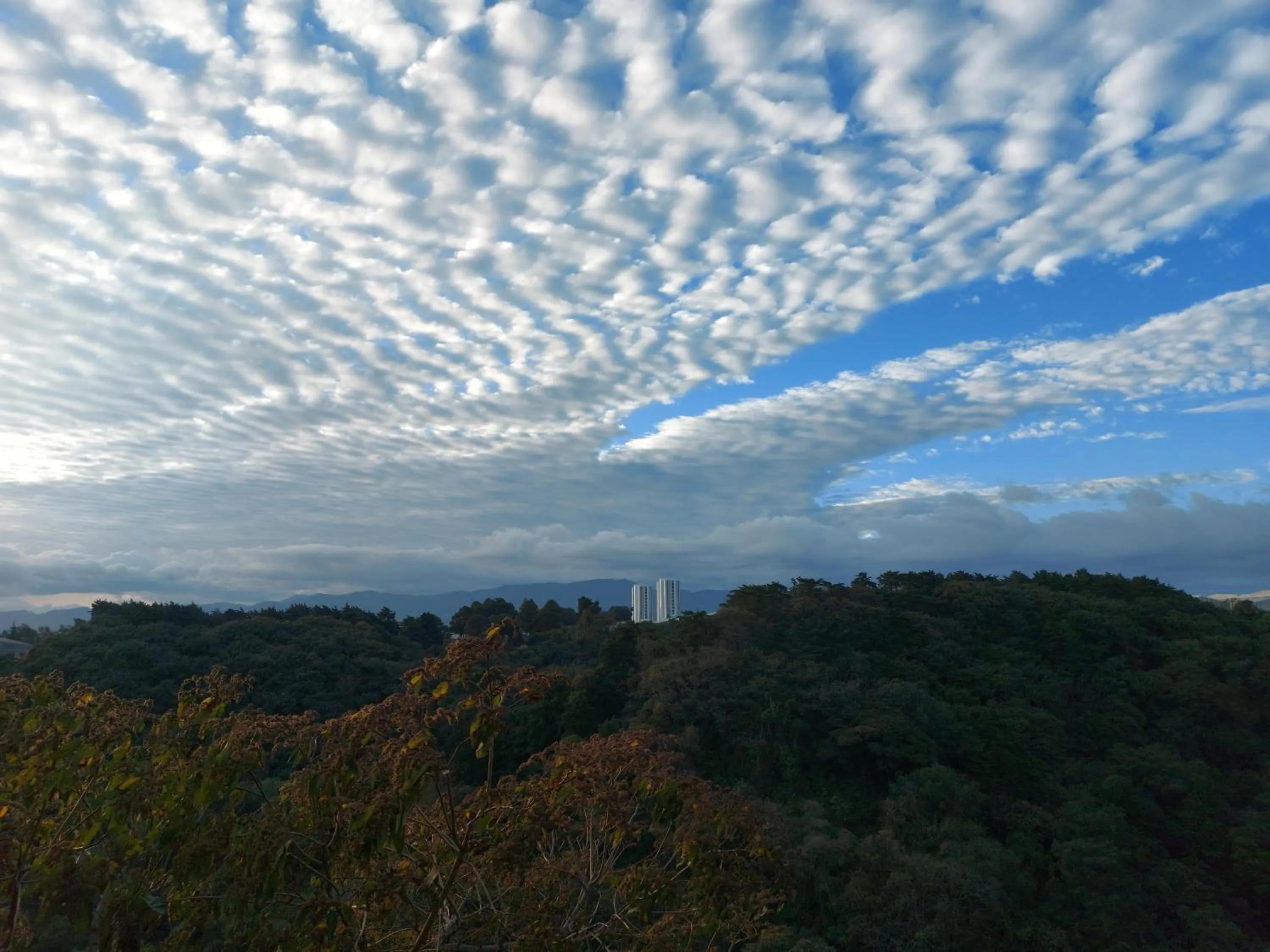 Mountain view in Aurora Express