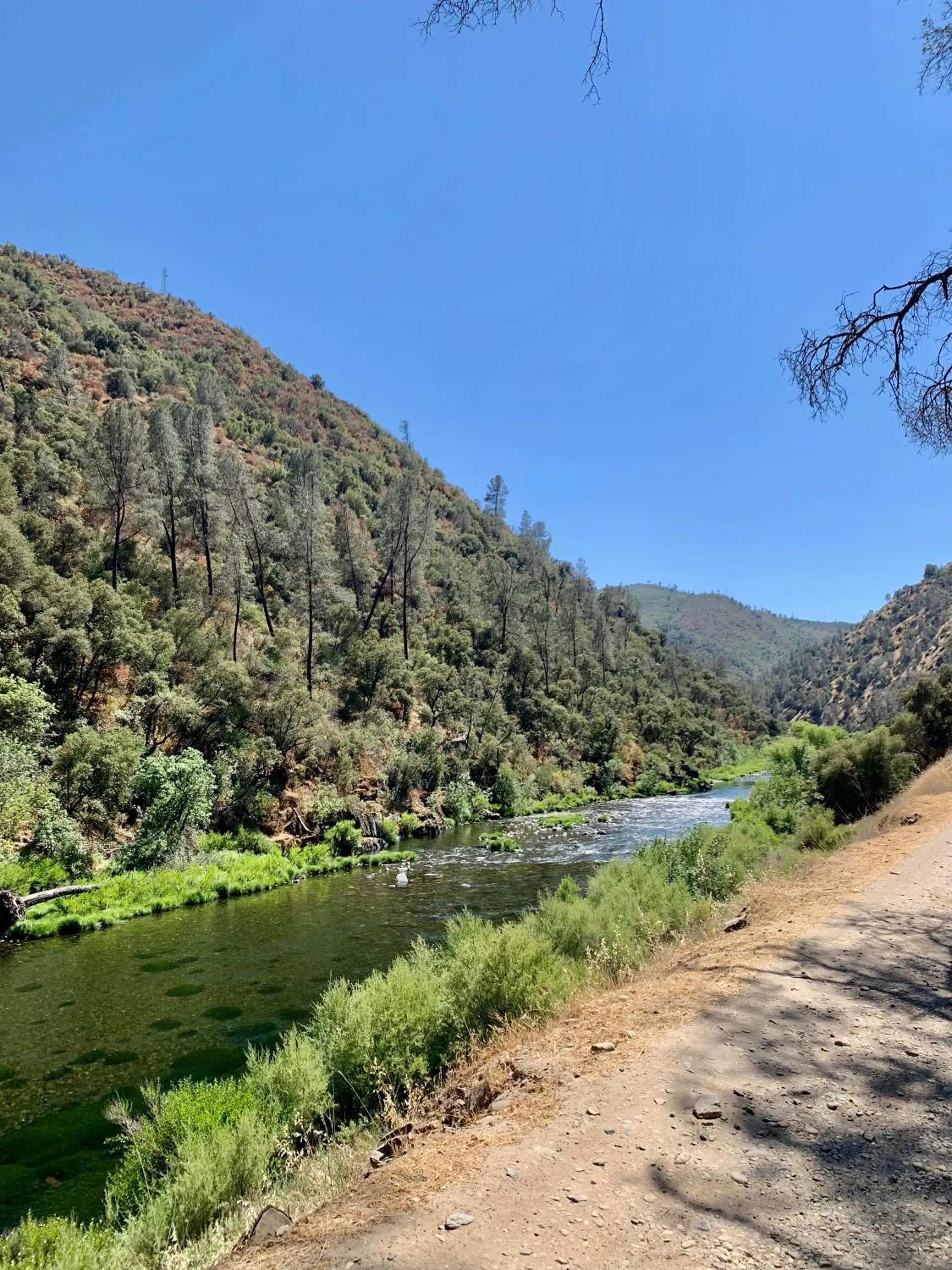 Villa Alta Vista at Yosemite- Stunning Views and Game Room