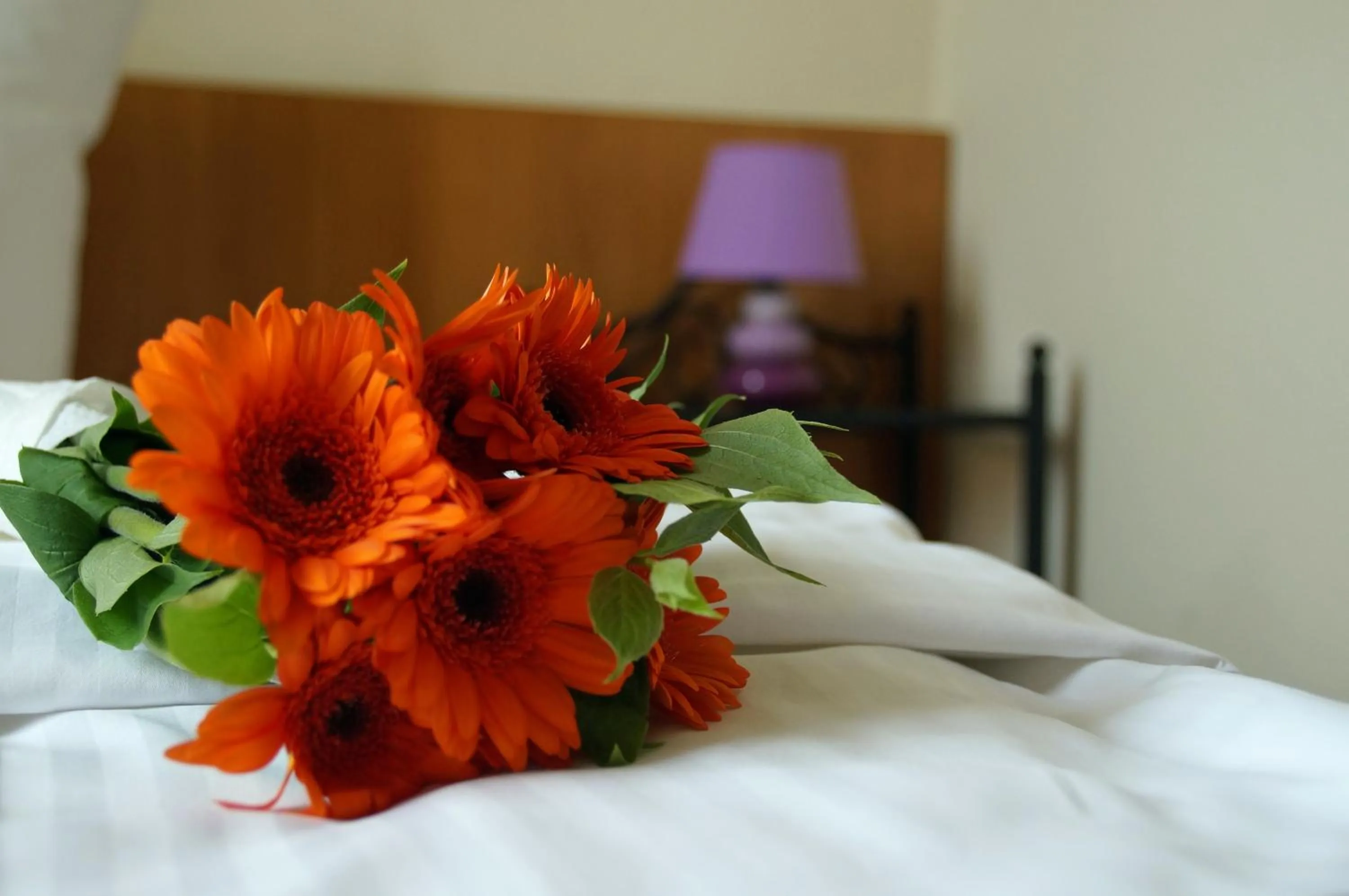 Bed in Gut Hotel Stadt Beelitz