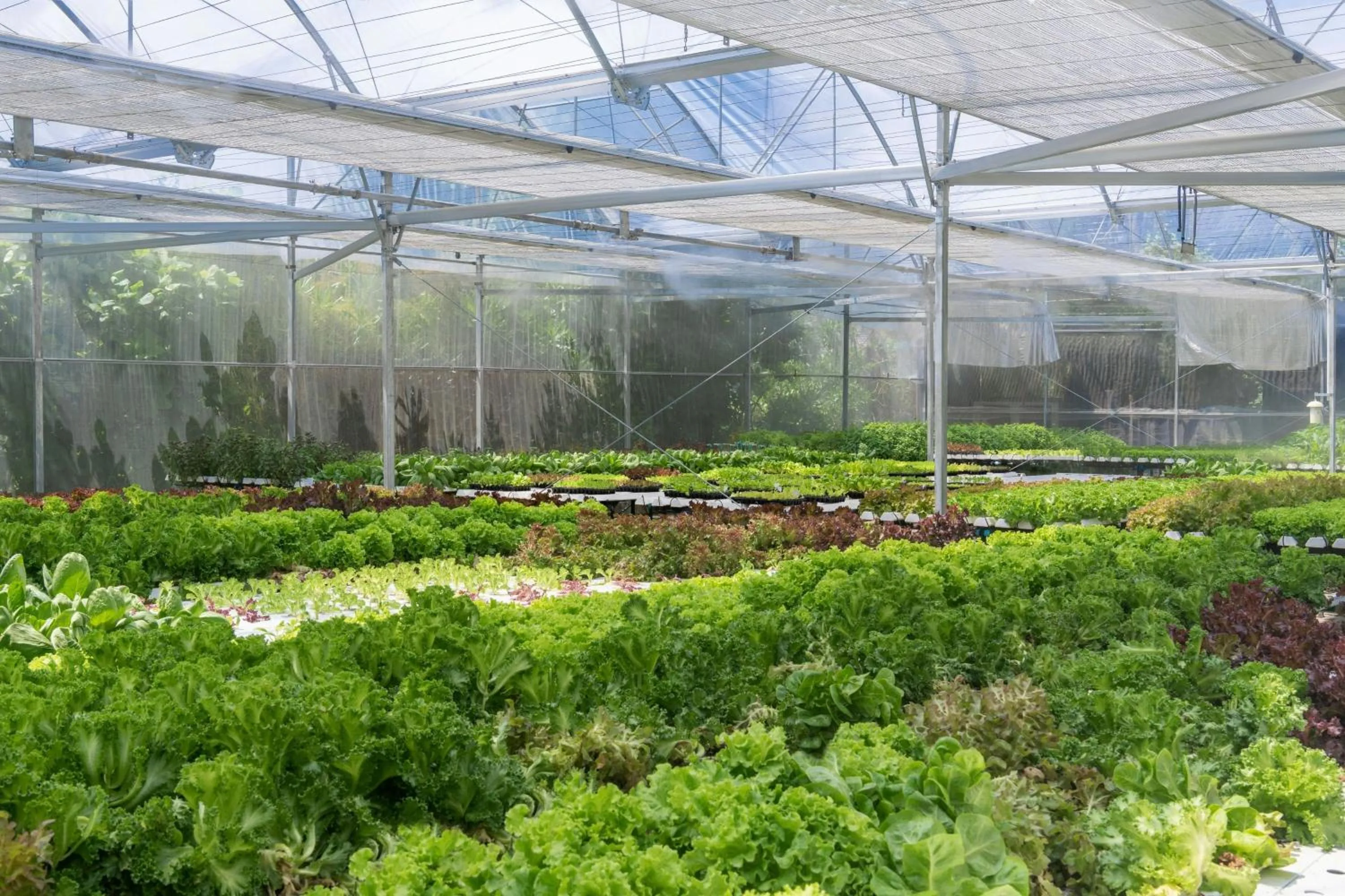 Other in Le Meridien Maldives Resort & Spa