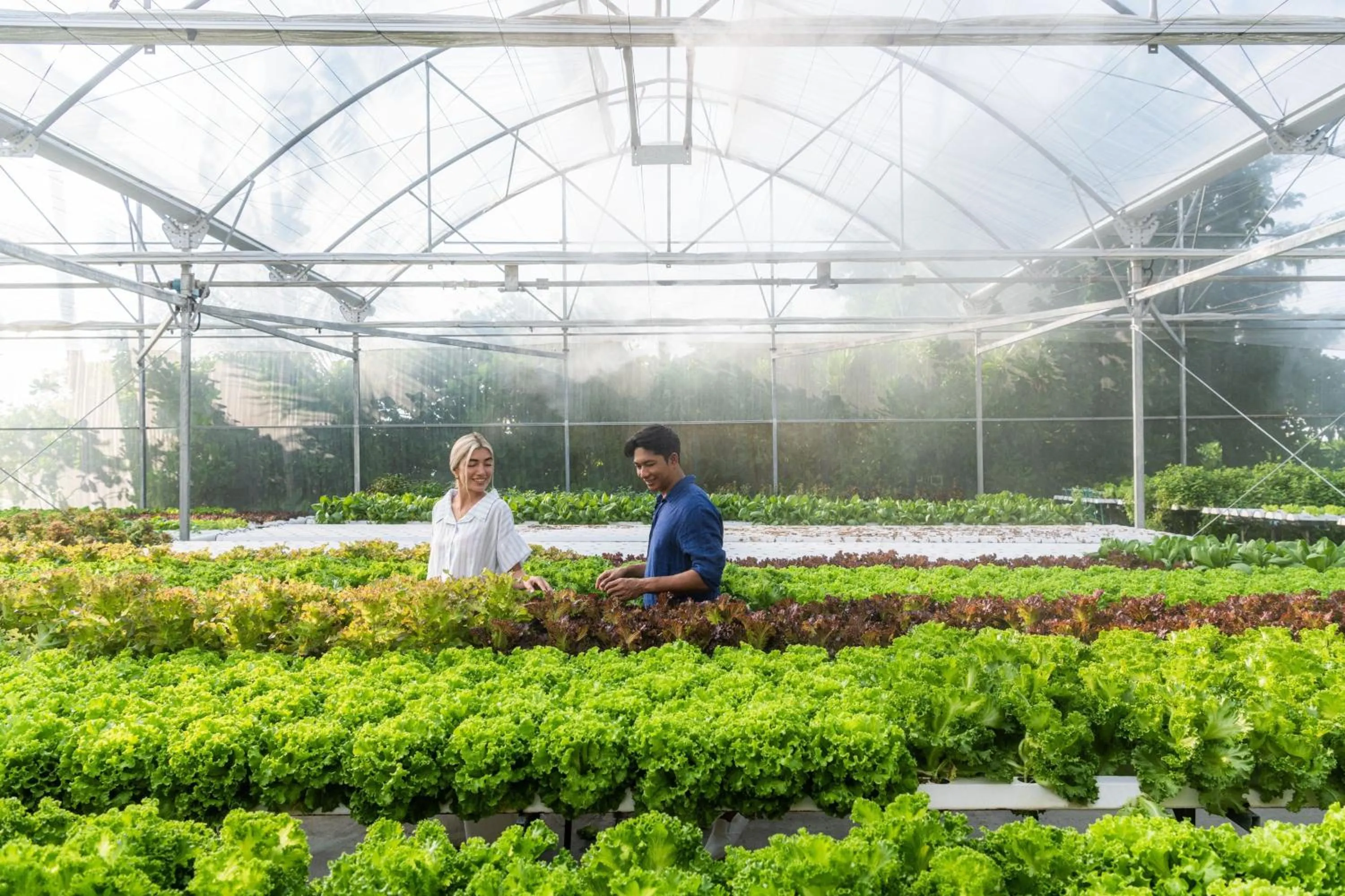 Other in Le Meridien Maldives Resort & Spa