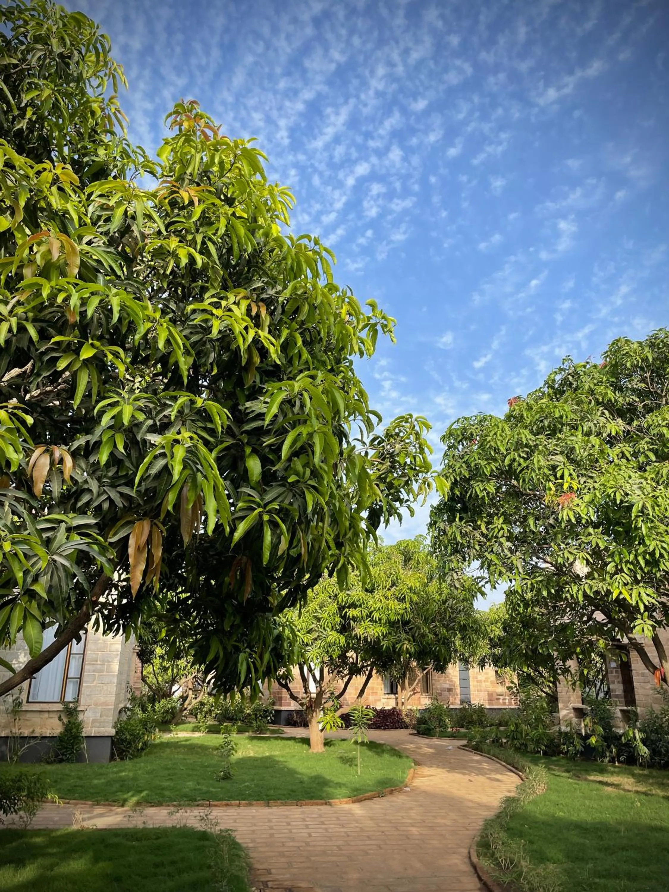 Garden in The Postcard Gir Wildlife Sanctuary