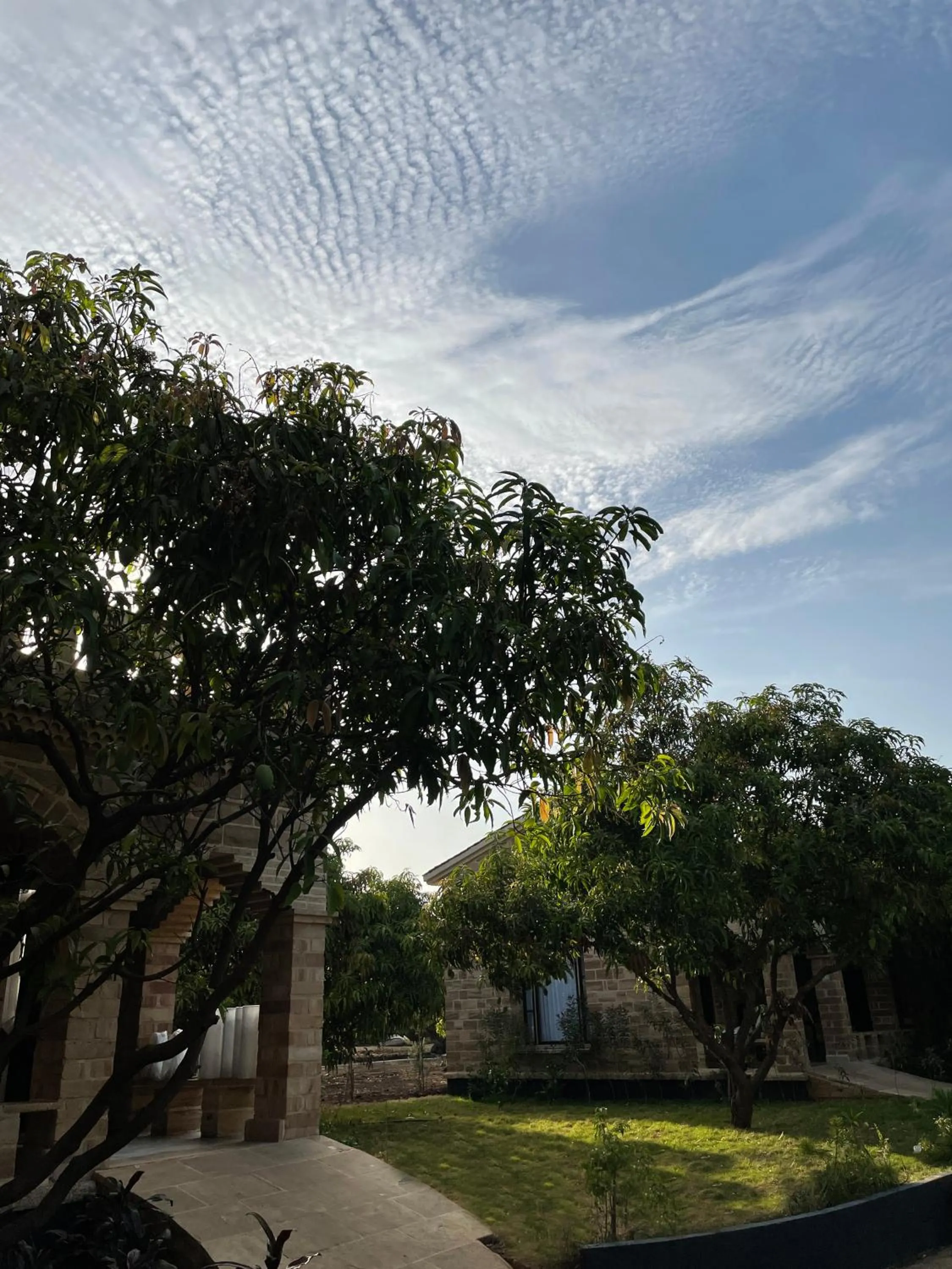 Garden in The Postcard Gir Wildlife Sanctuary