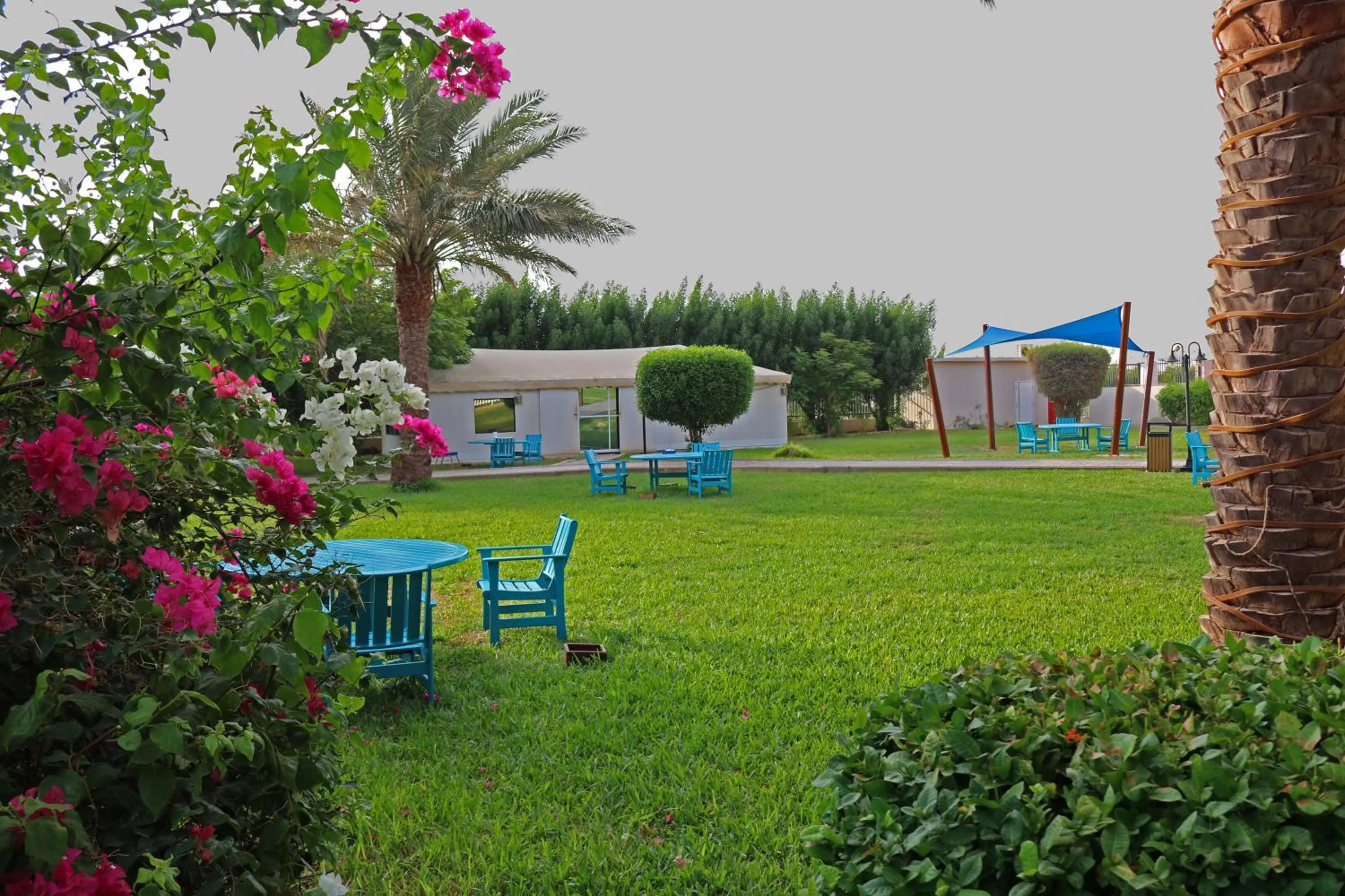 Garden in Radisson Blu Hotel, Yanbu