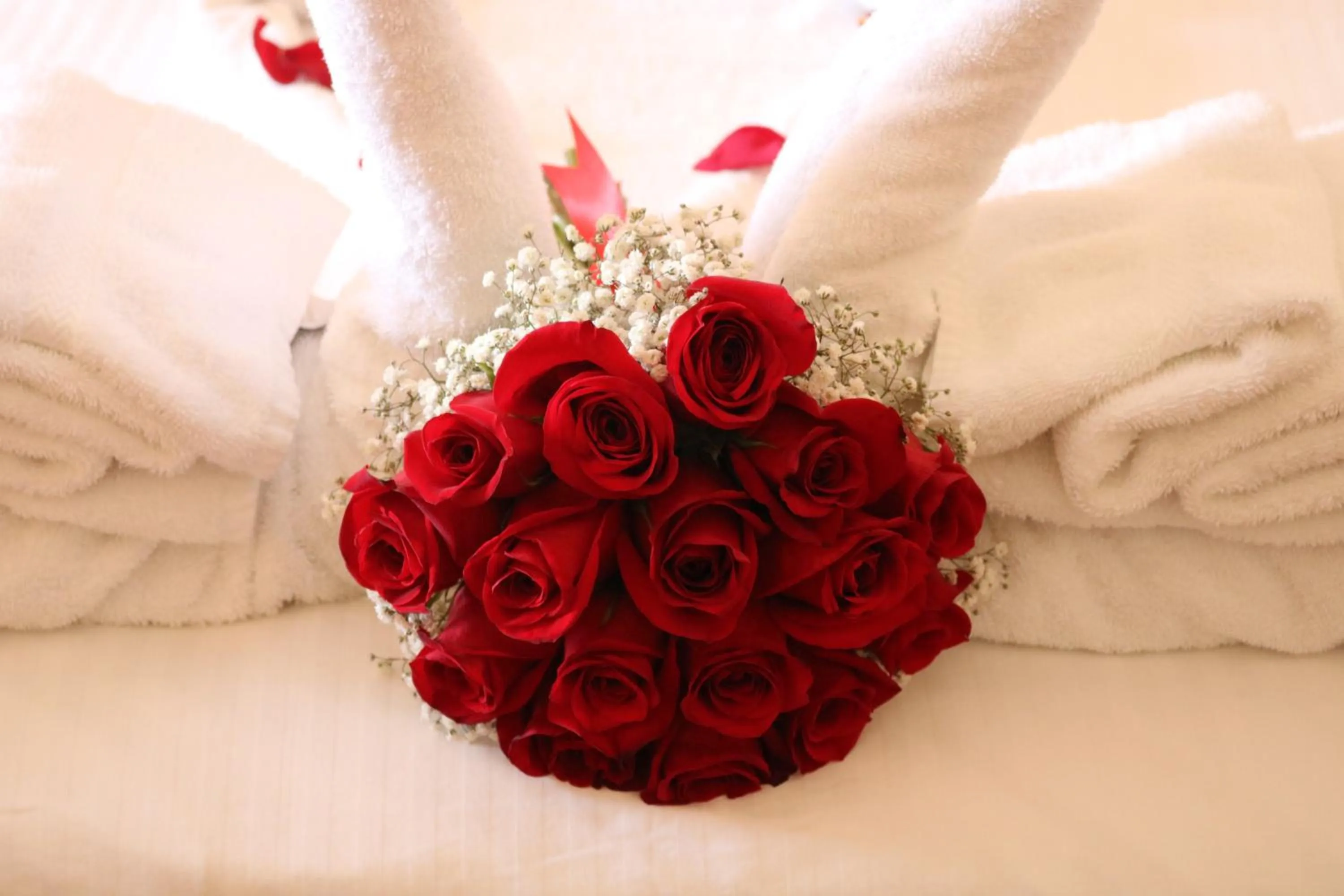 Food and drinks in Radisson Blu Hotel, Yanbu