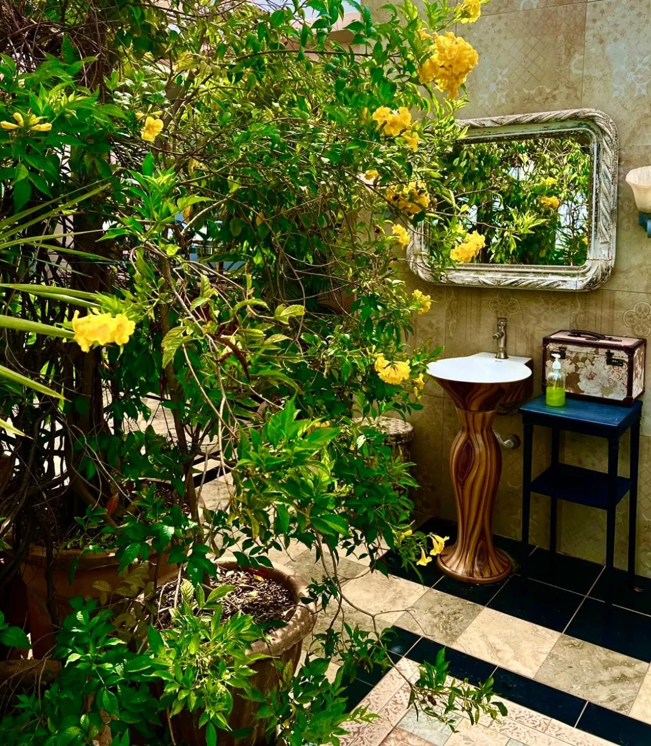 RoofTop Boutique Hotel Adults Only