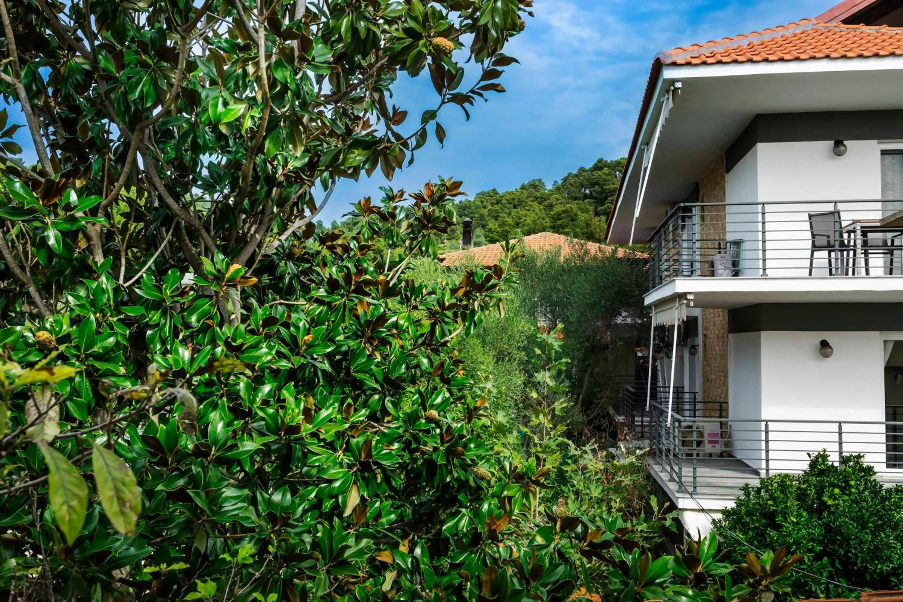 Property building in NewStory Suites Possidi
