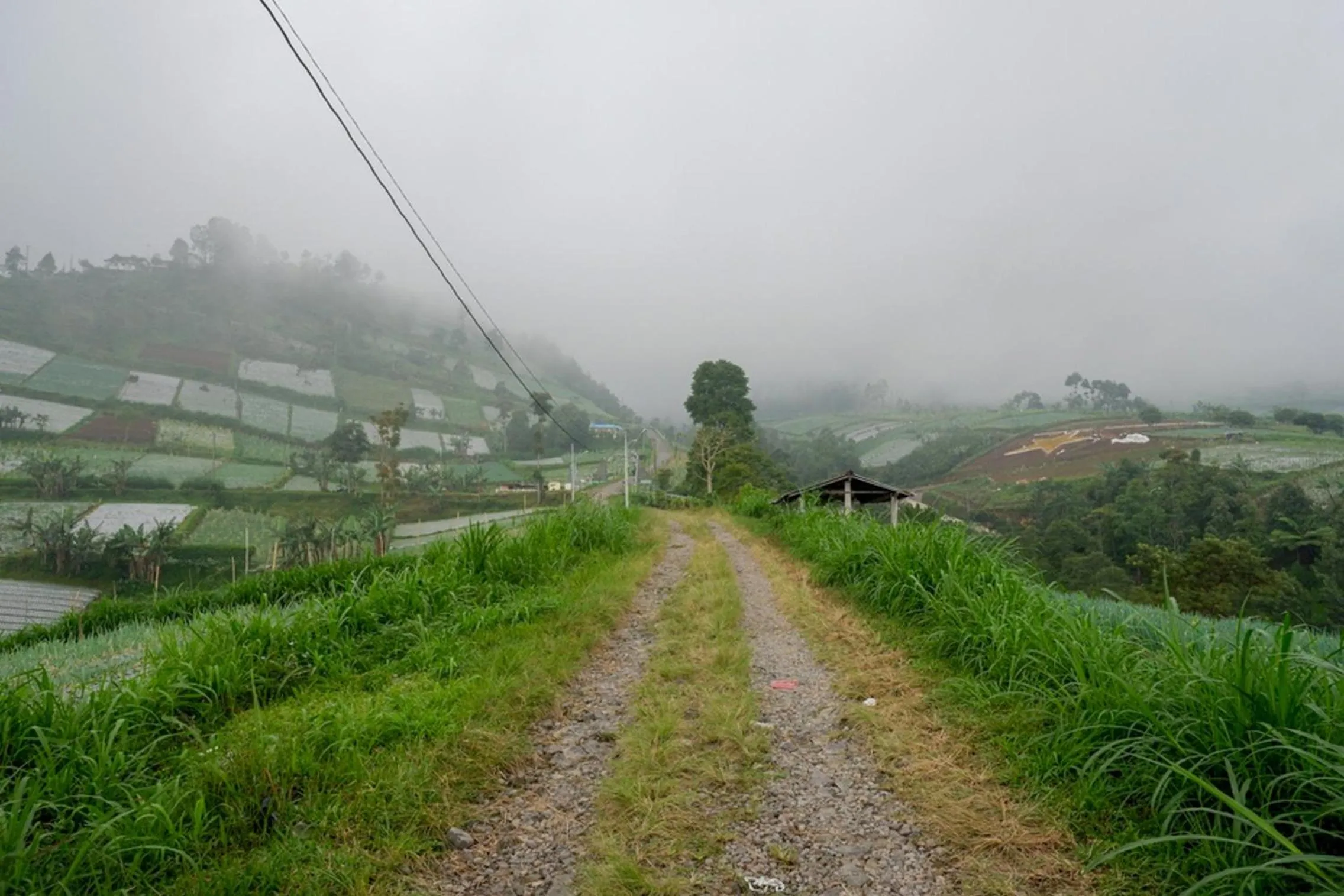 View (from property/room) in RedDoorz near Candi Cetho Karanganyar