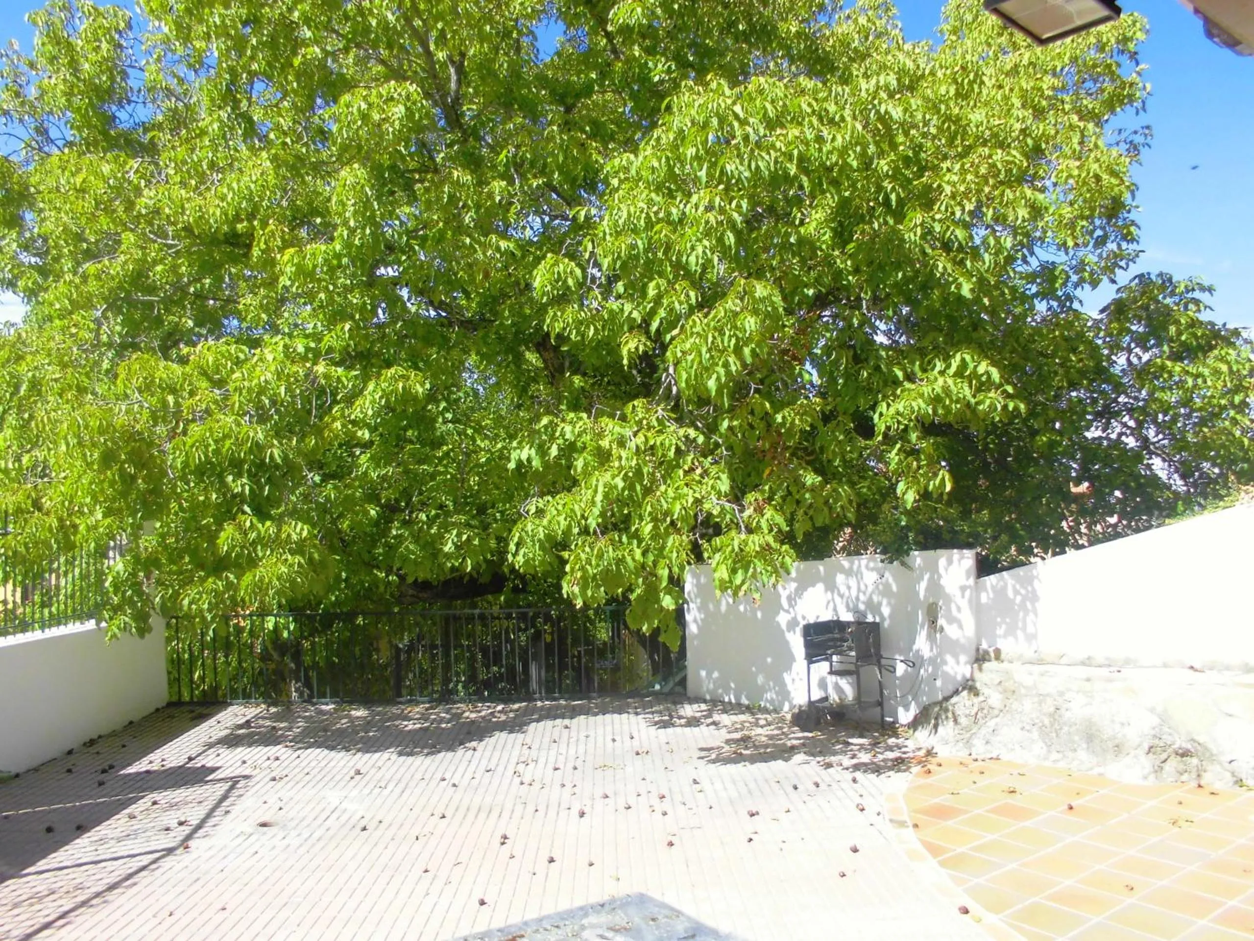 BBQ facilities in Casa Fuente De La Argamasa