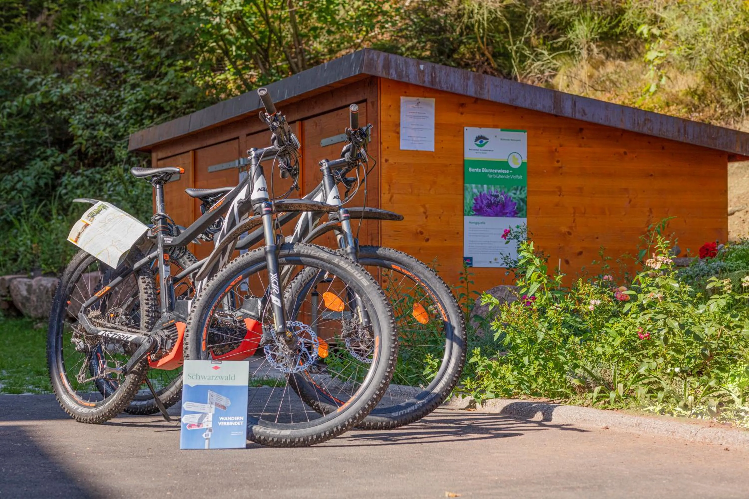 Fitness centre/facilities in Hotel Langenwaldsee