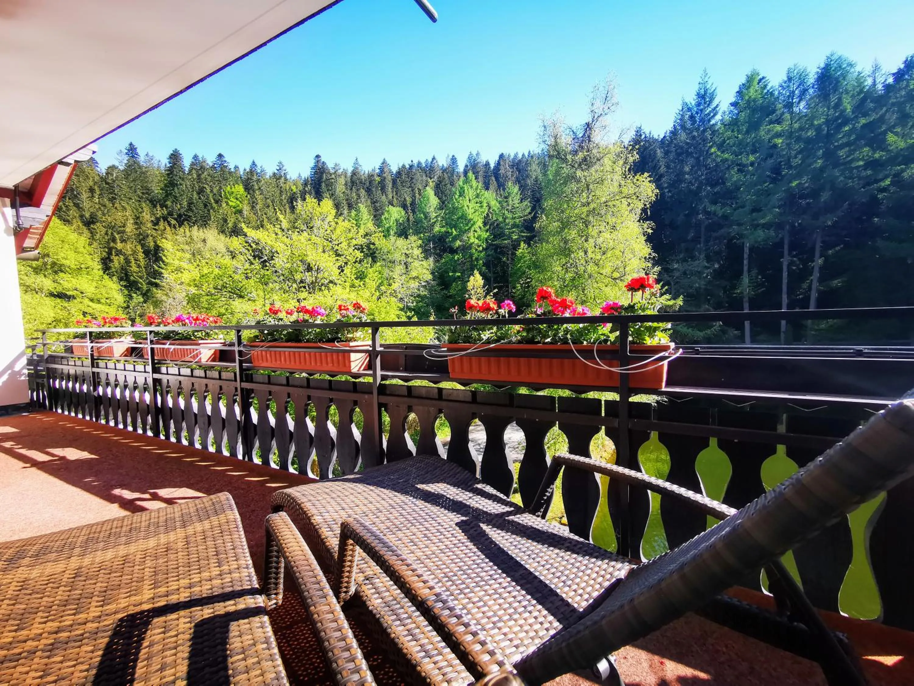 Property building in Hotel Langenwaldsee