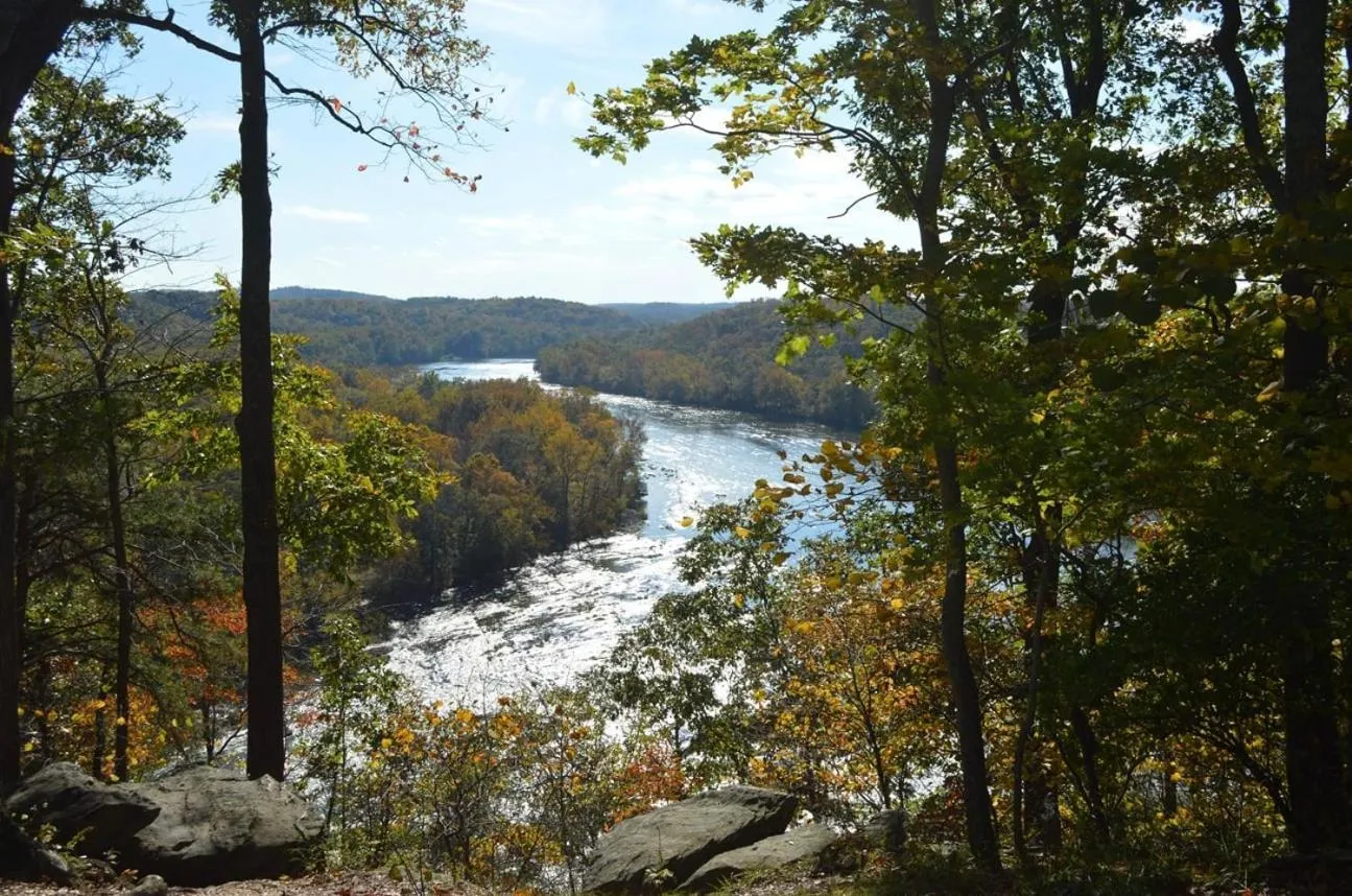 Natural landscape in Hot Tub, Deck&Grill, Game Room, WiFi at Cute Cabin