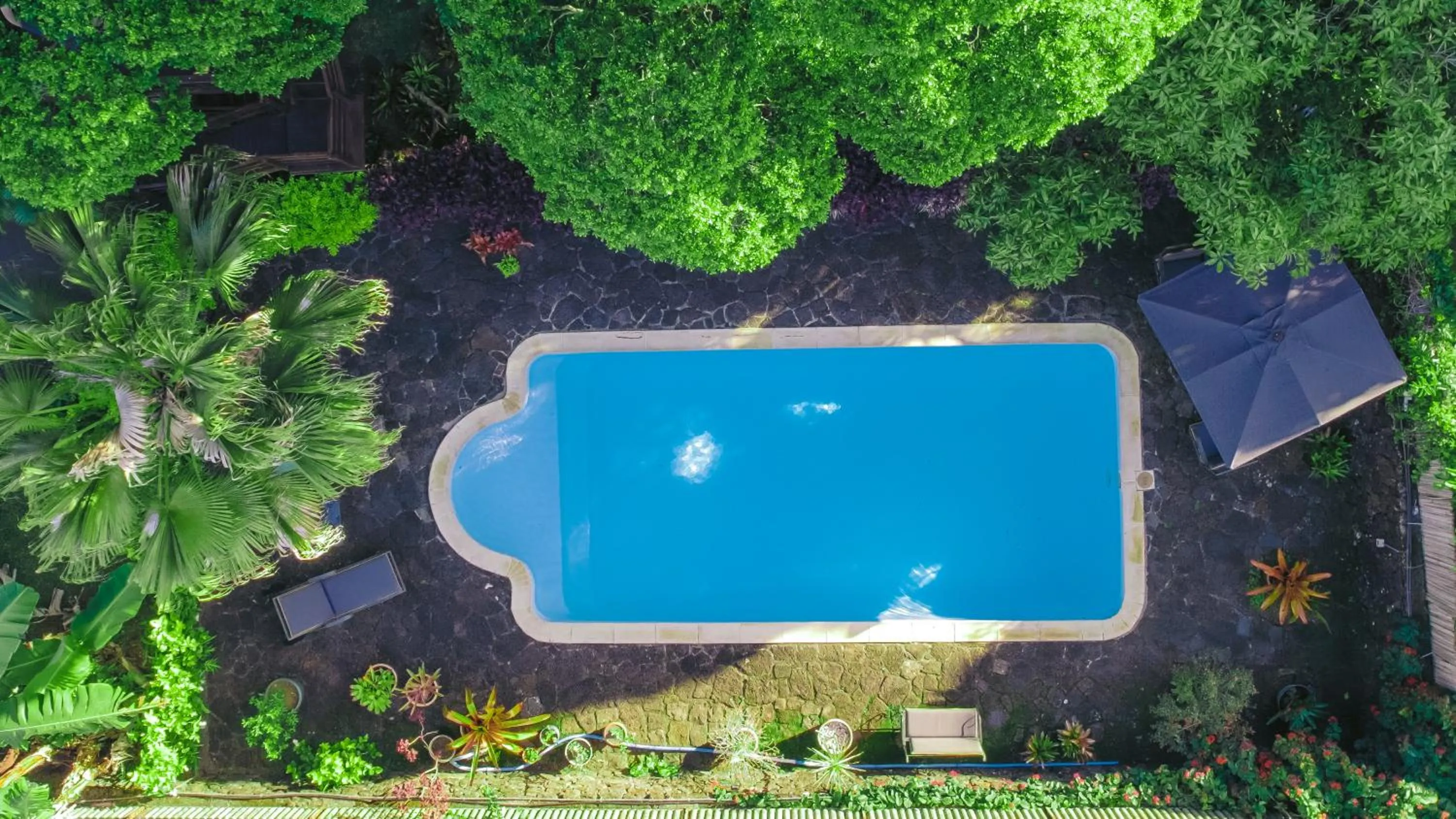 Tree Lodge Mauritius