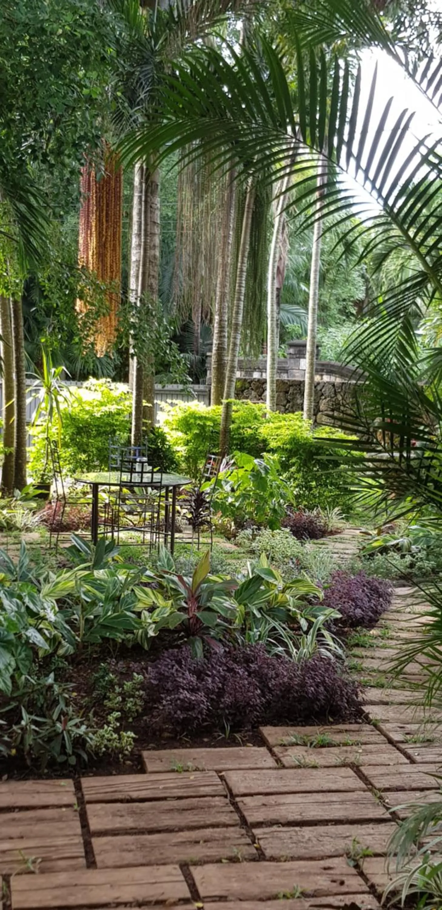 Garden in Tree Lodge Mauritius