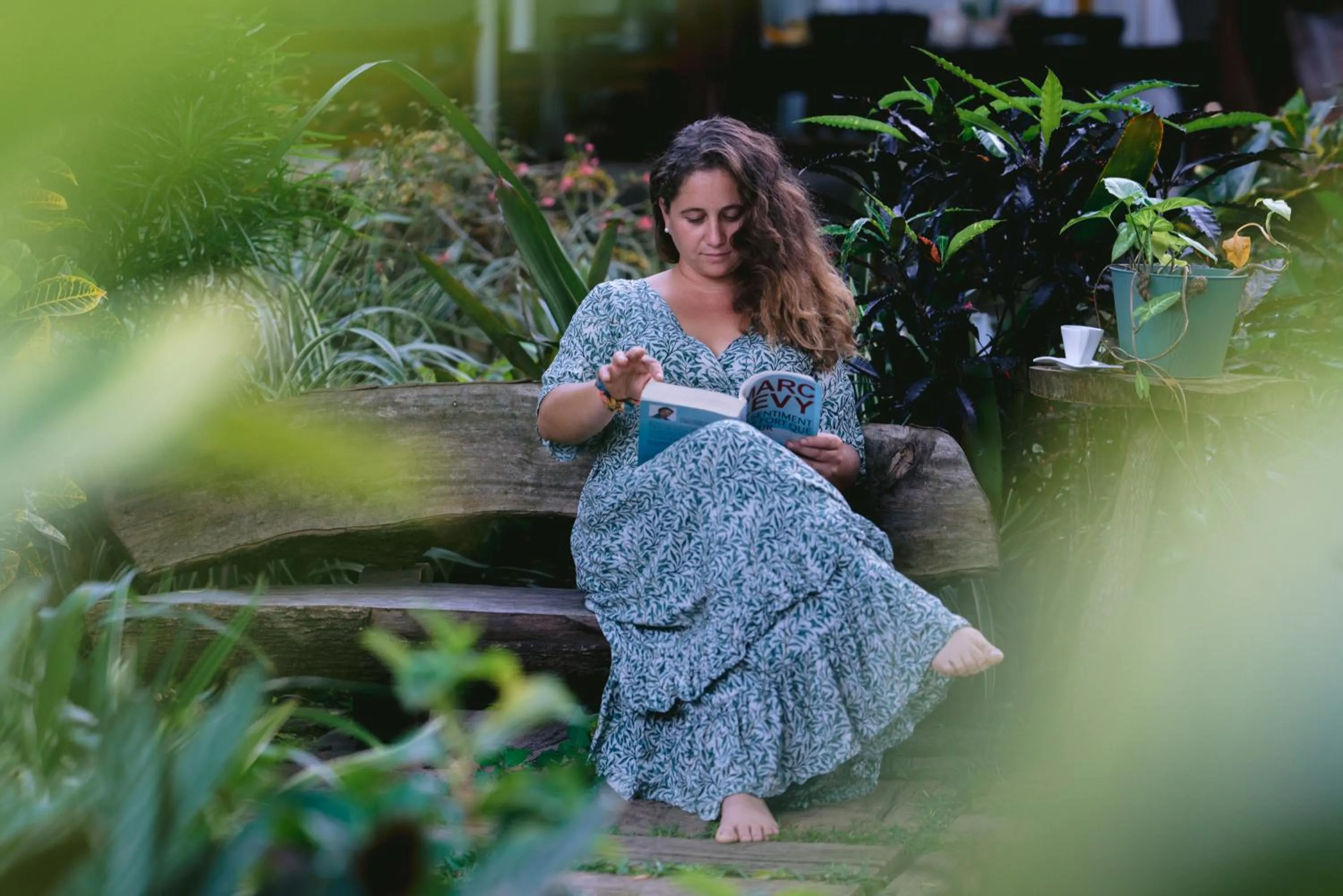 Garden in Tree Lodge Mauritius