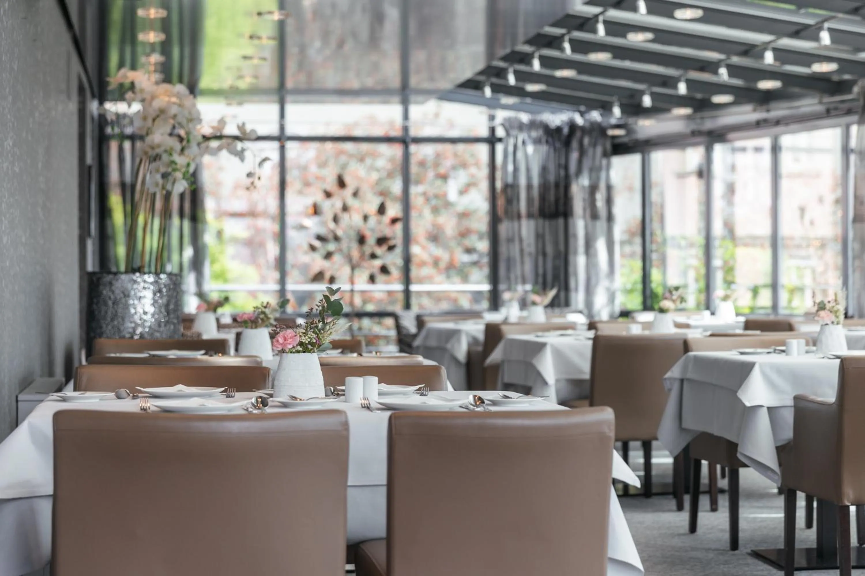 Restaurant/places to eat in Hotel Lindauer Hof