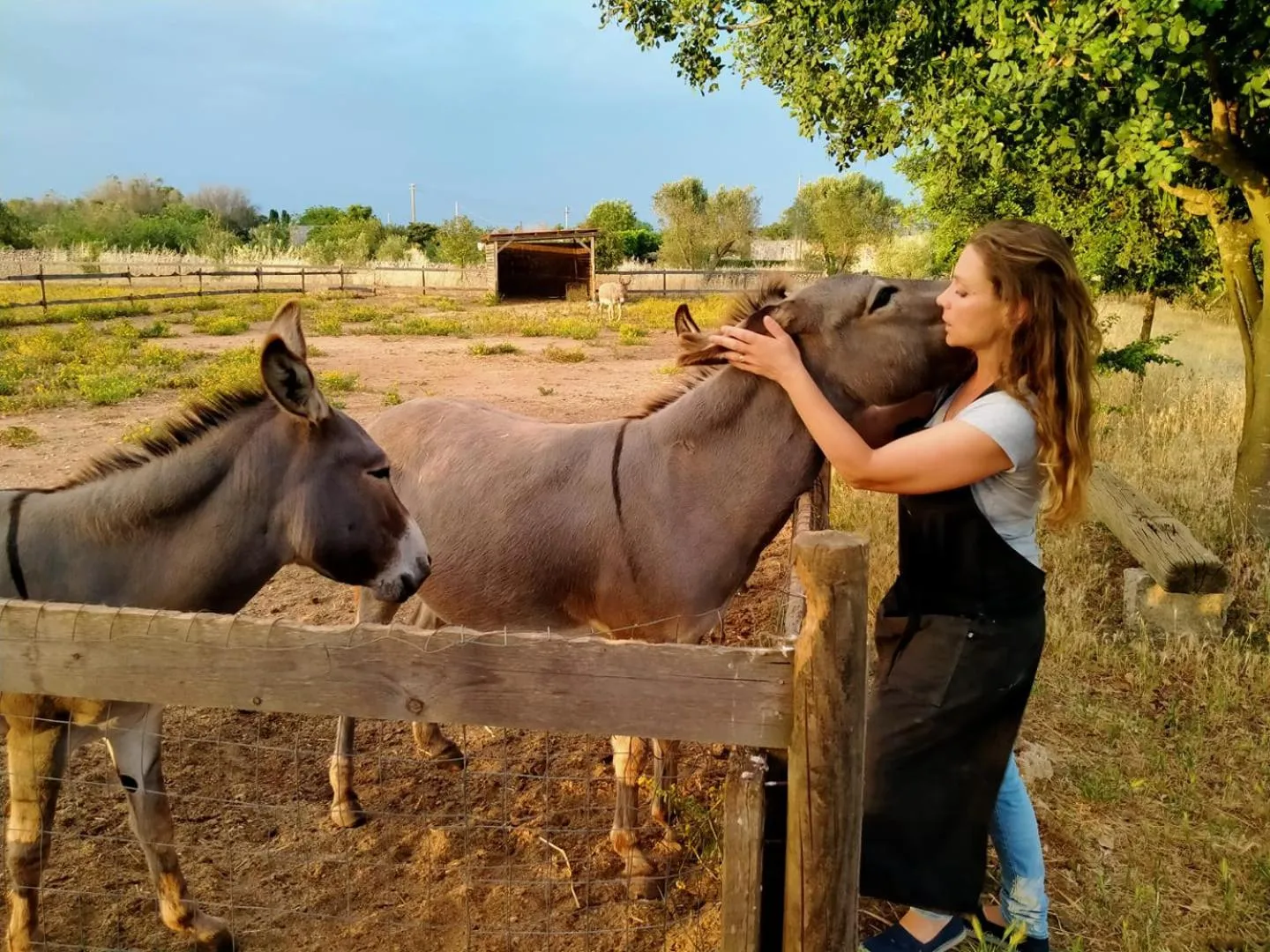 Day in Volito Rural Experience