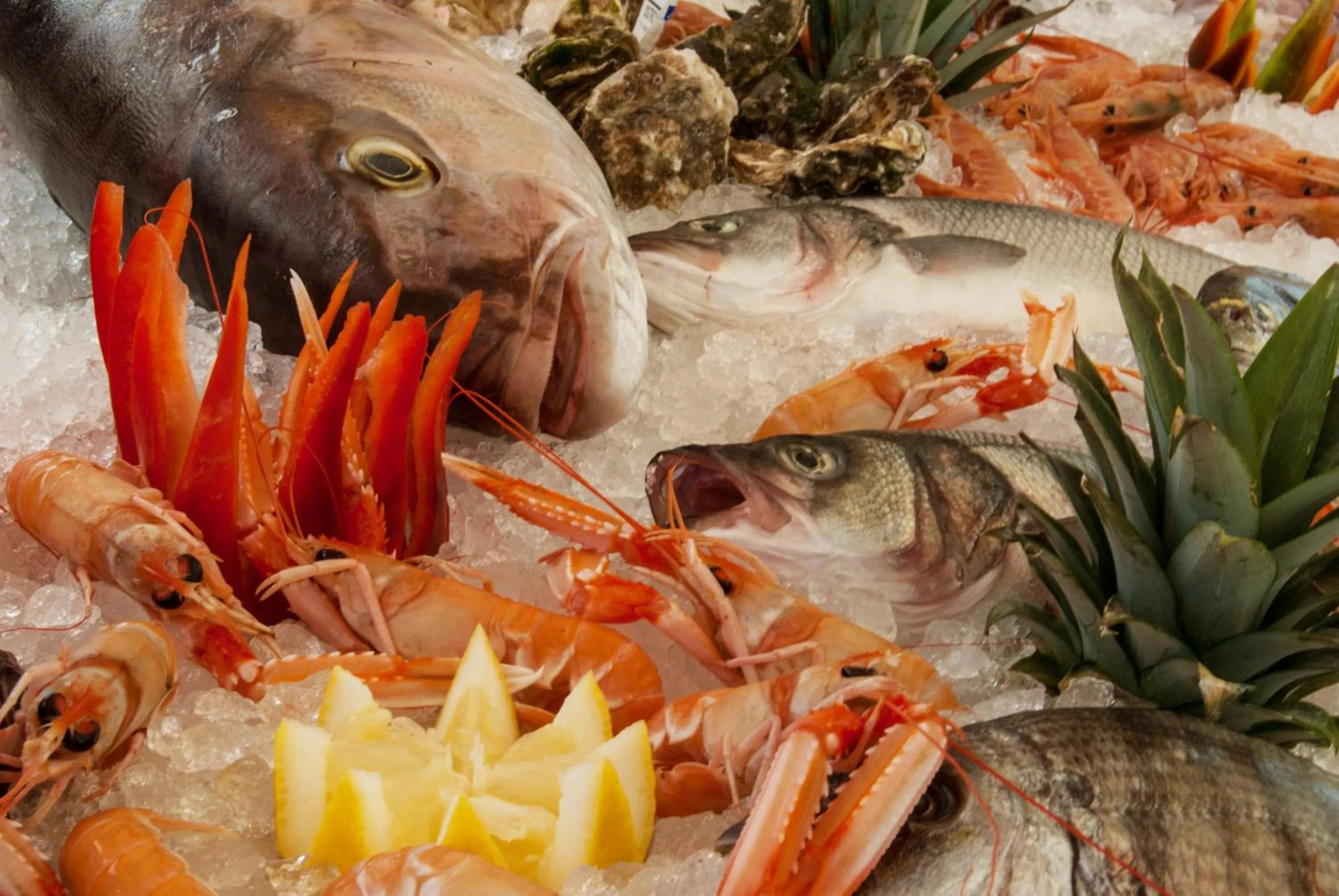 Restaurant/places to eat in Volito Rural Experience