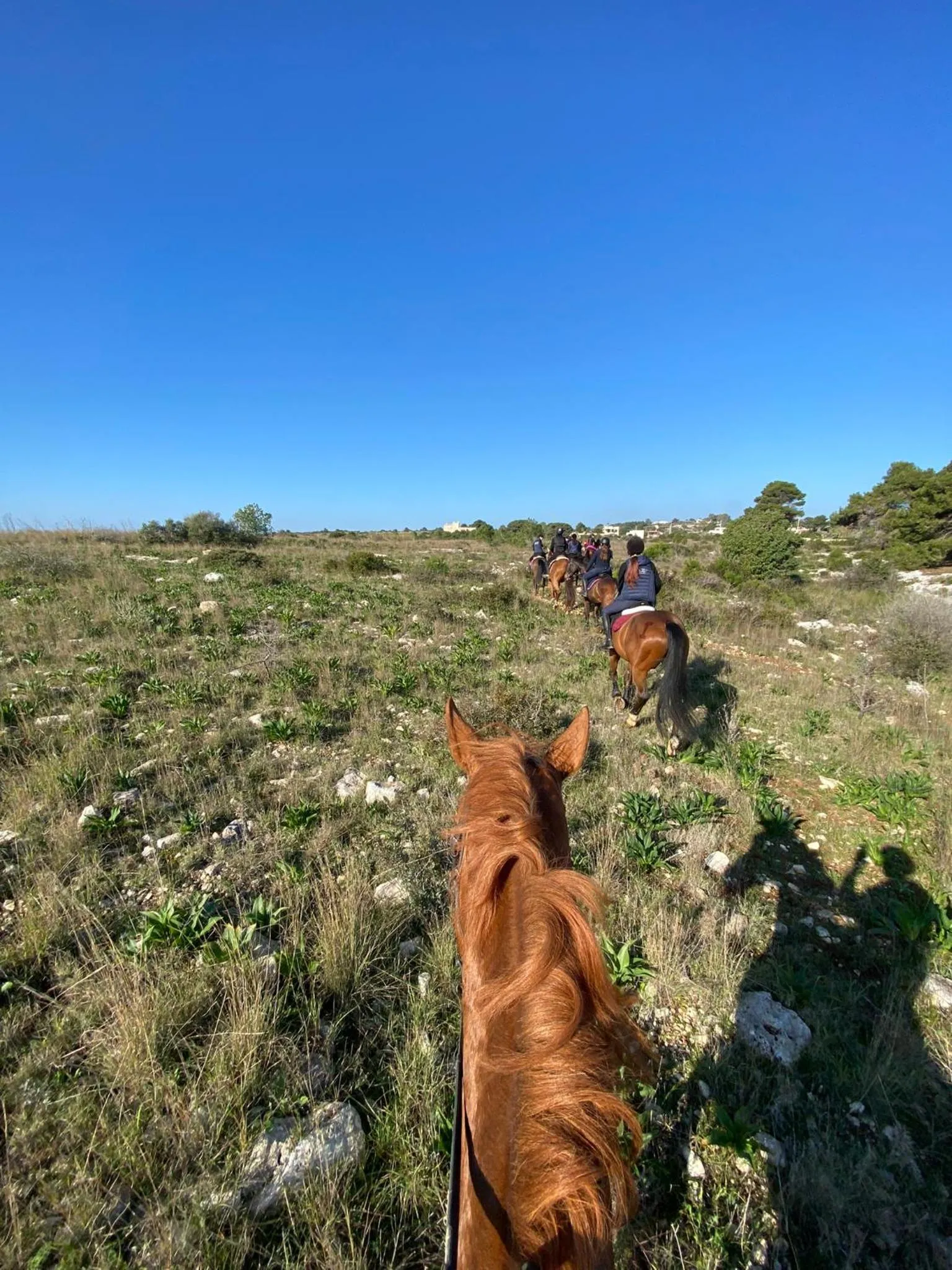 Natural landscape in Volito Rural Experience