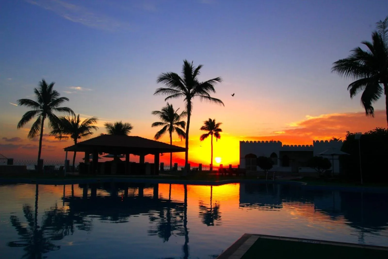 Natural landscape in Sohar Beach Hotel