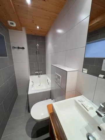 Bathroom in Le Rookie Mountain