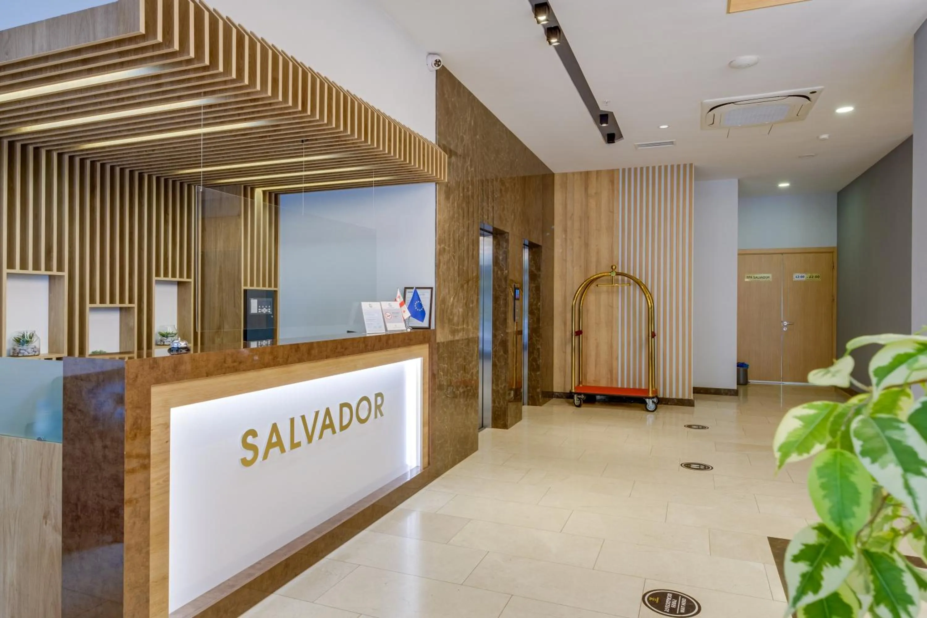 Lobby or reception in Hotel Salvador