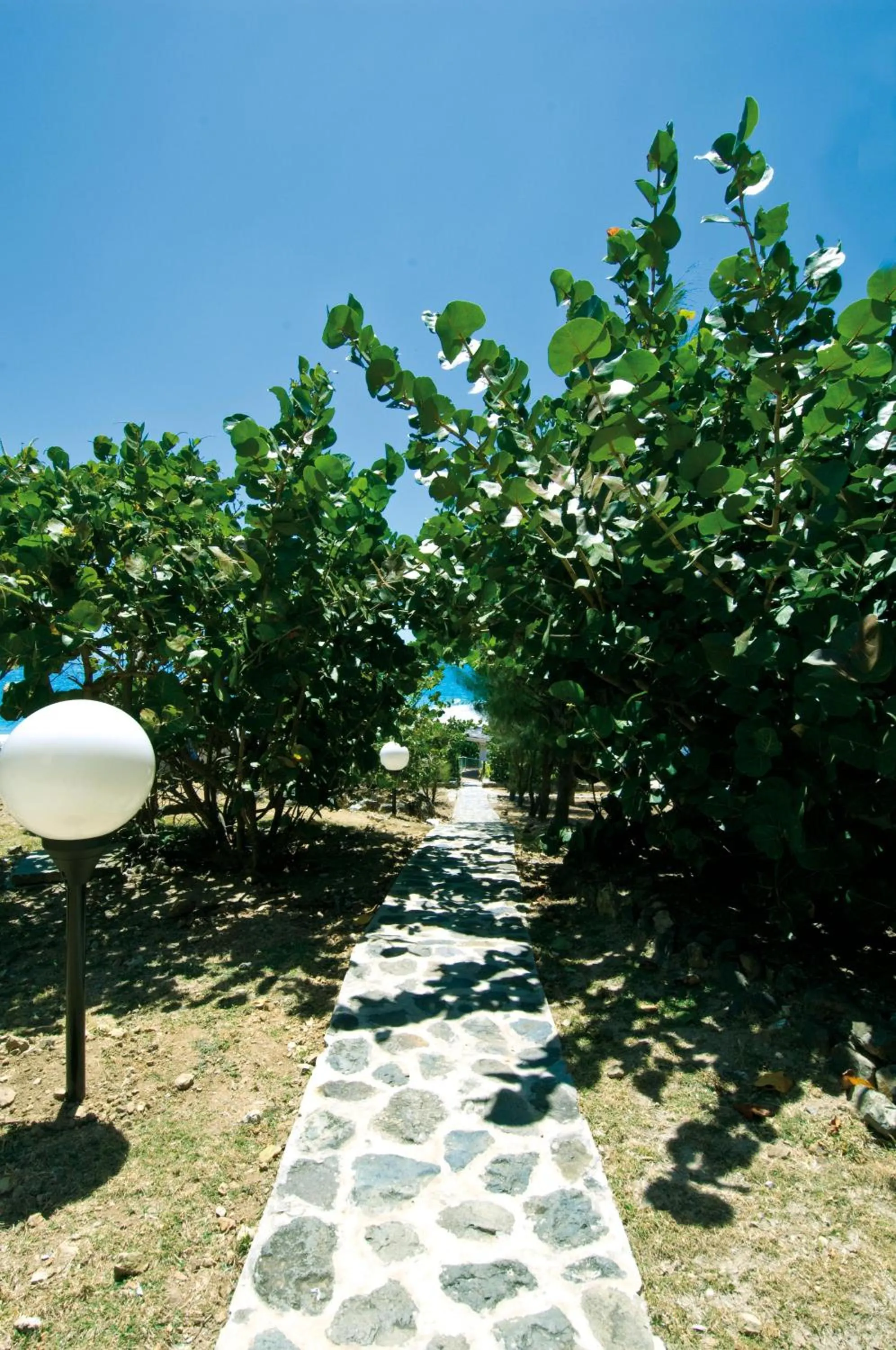 Garden view in Studio Orient Bay