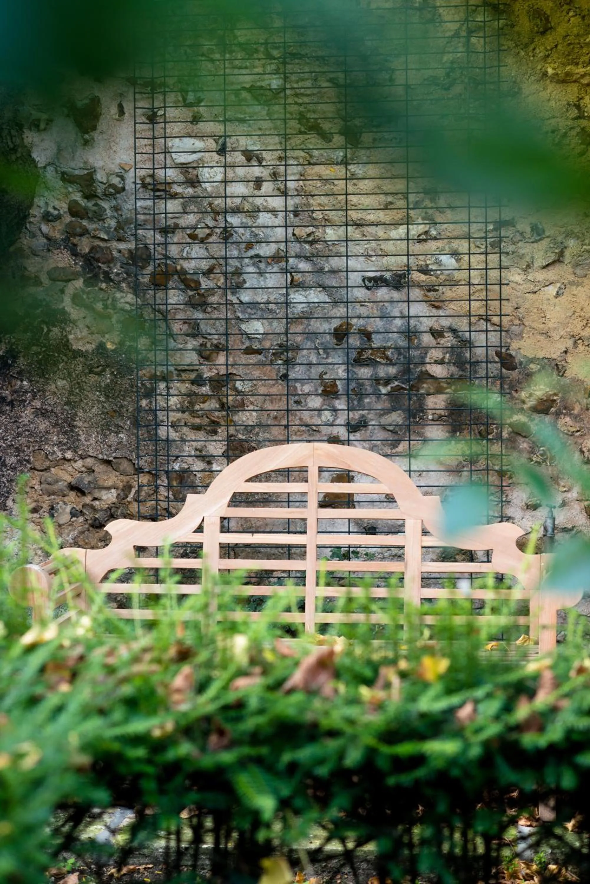 Garden in Maison Ailleurs