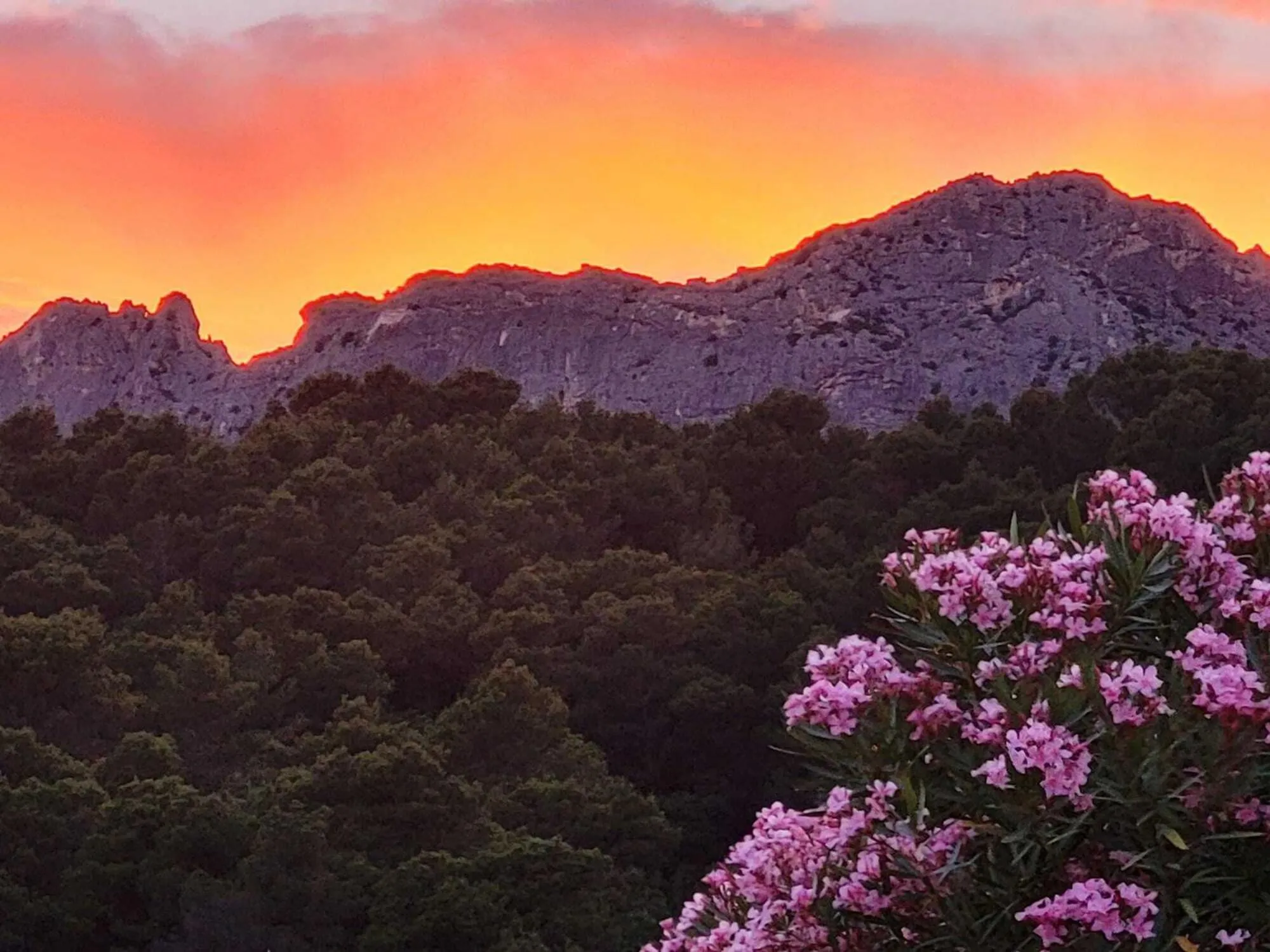 View (from property/room) in Chambres & Table d'Hôtes Au Soleil du Bonheur
