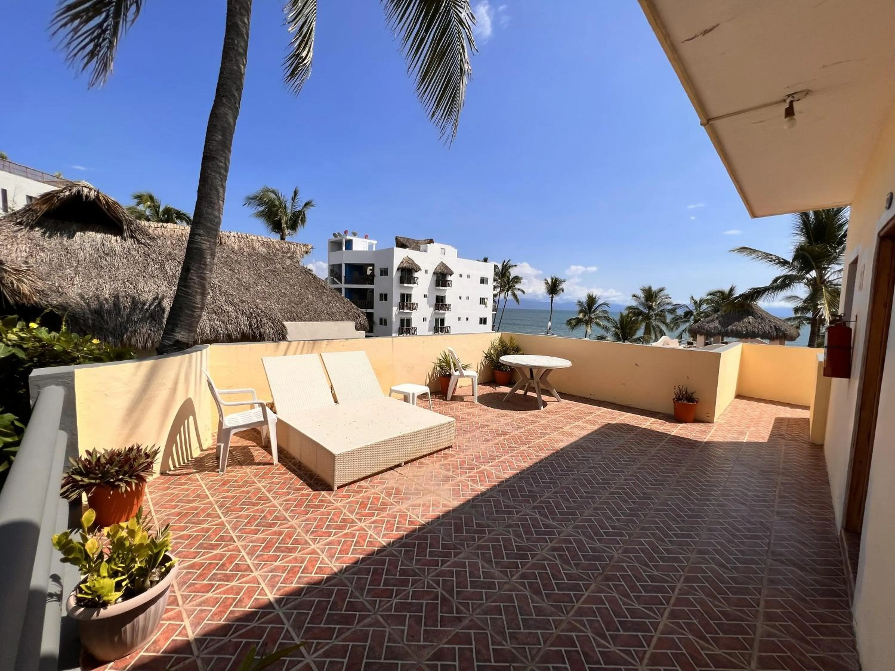 Natural landscape in Hotel Palmeras