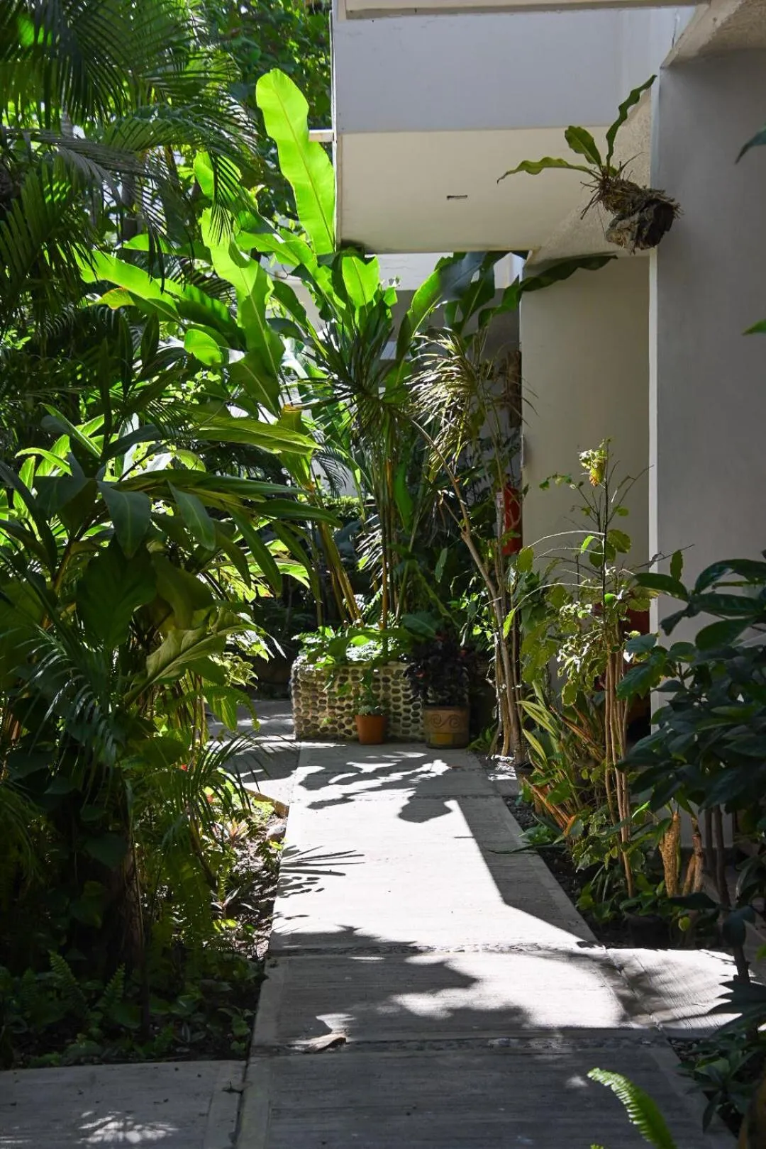 Day in Hotel Palmeras