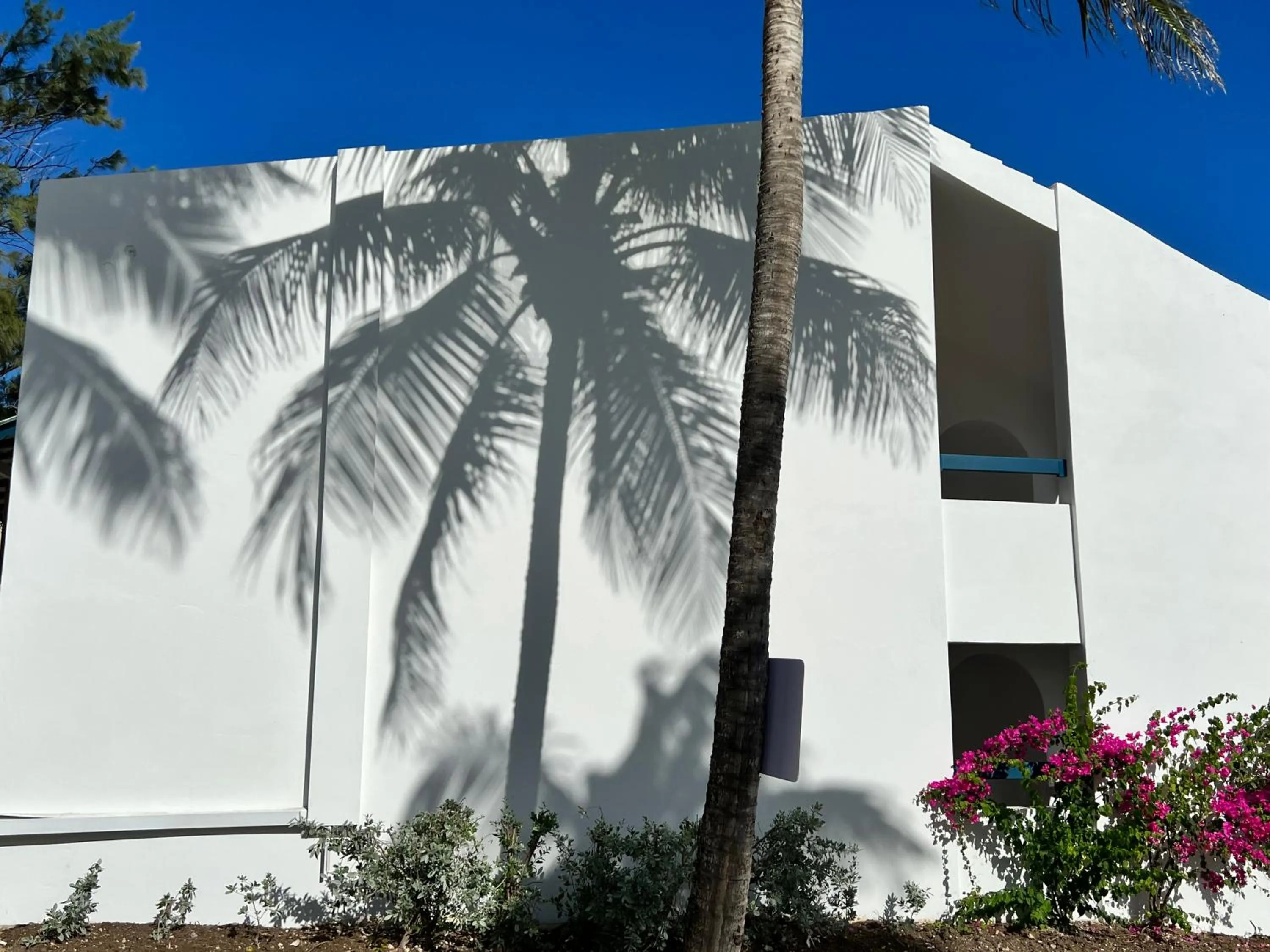 Property building in OceanBlue Resort