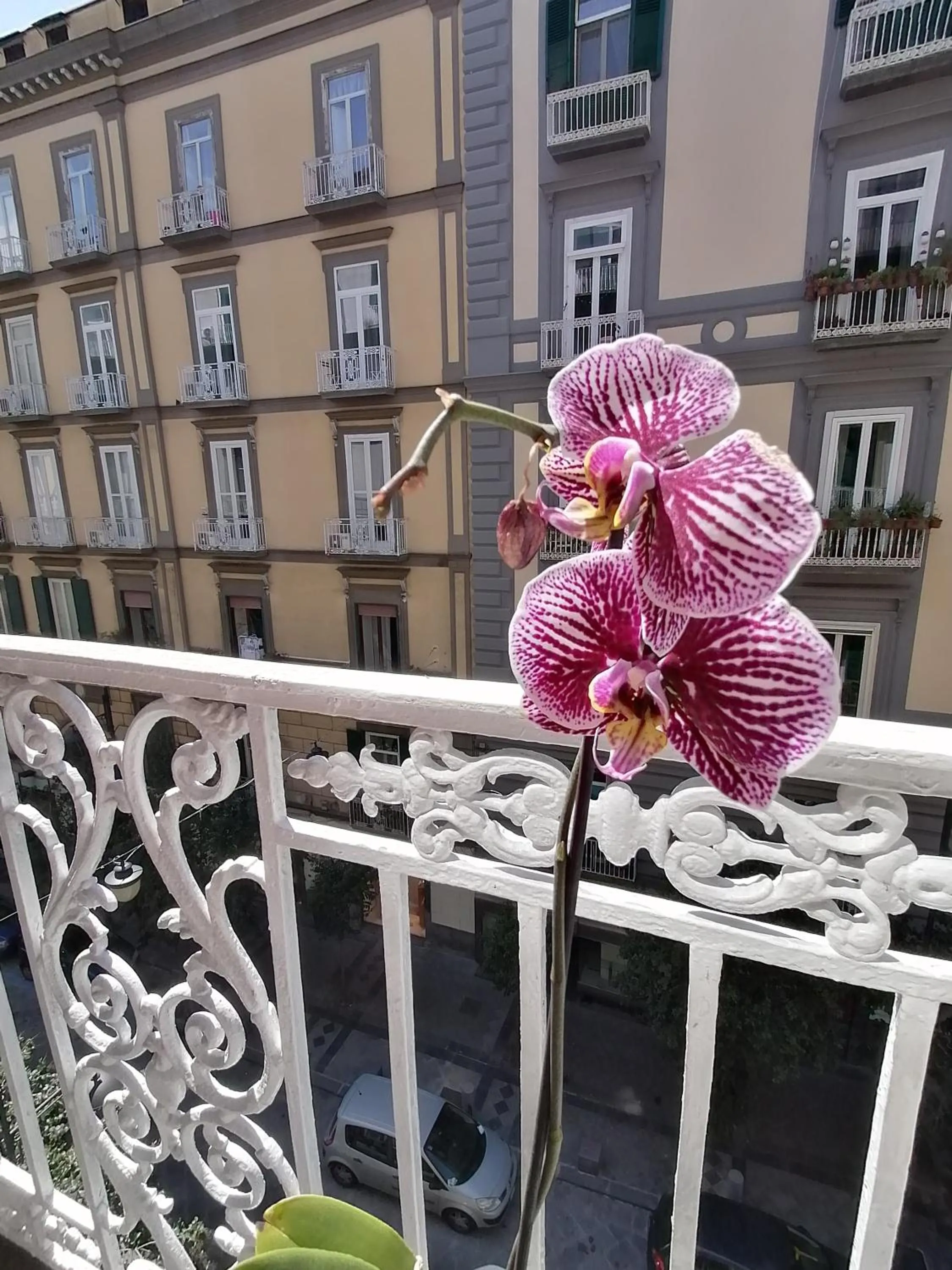 B&B Una finestra sul Duomo