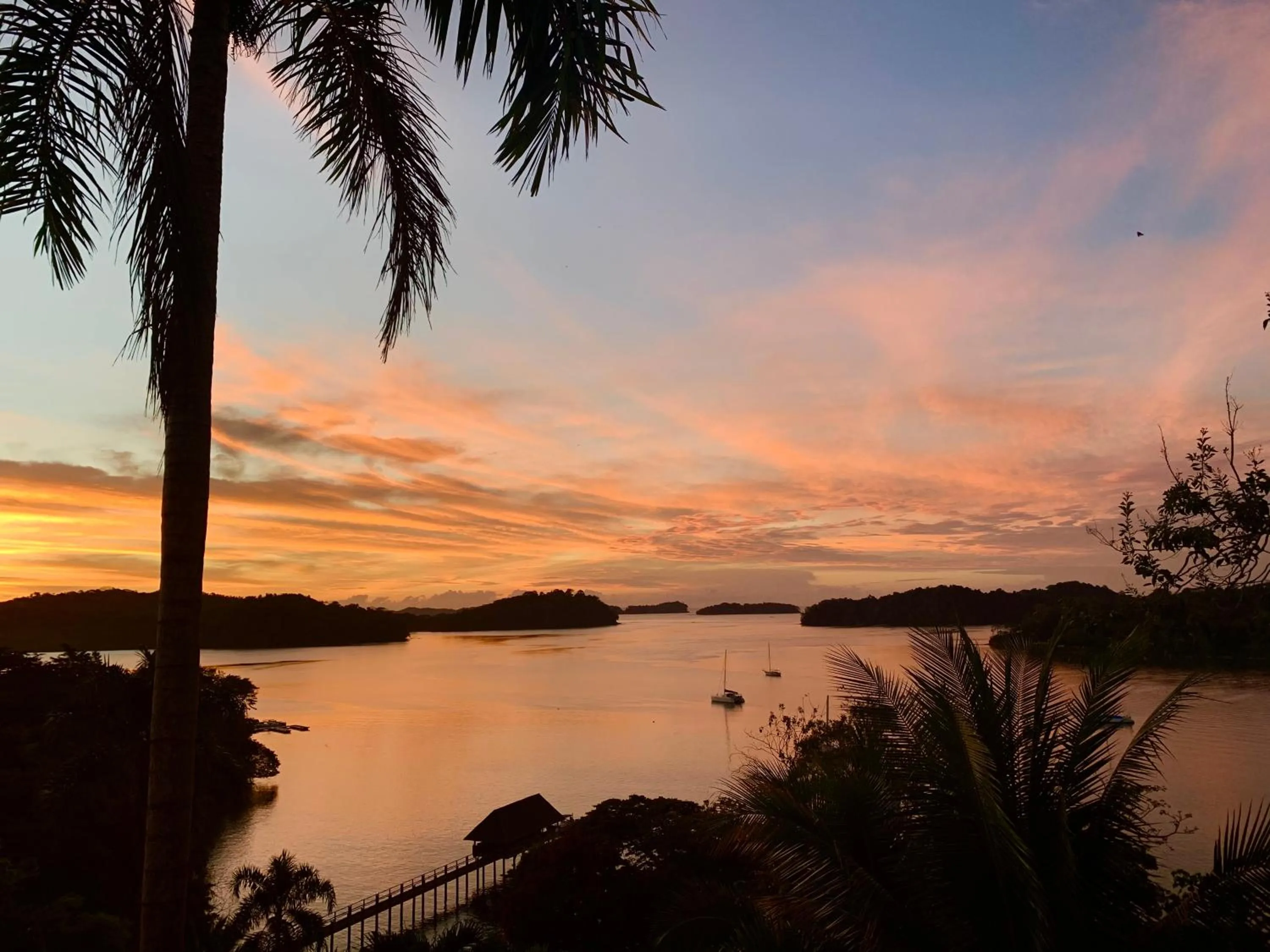 Natural landscape in Seagull Cove Resort