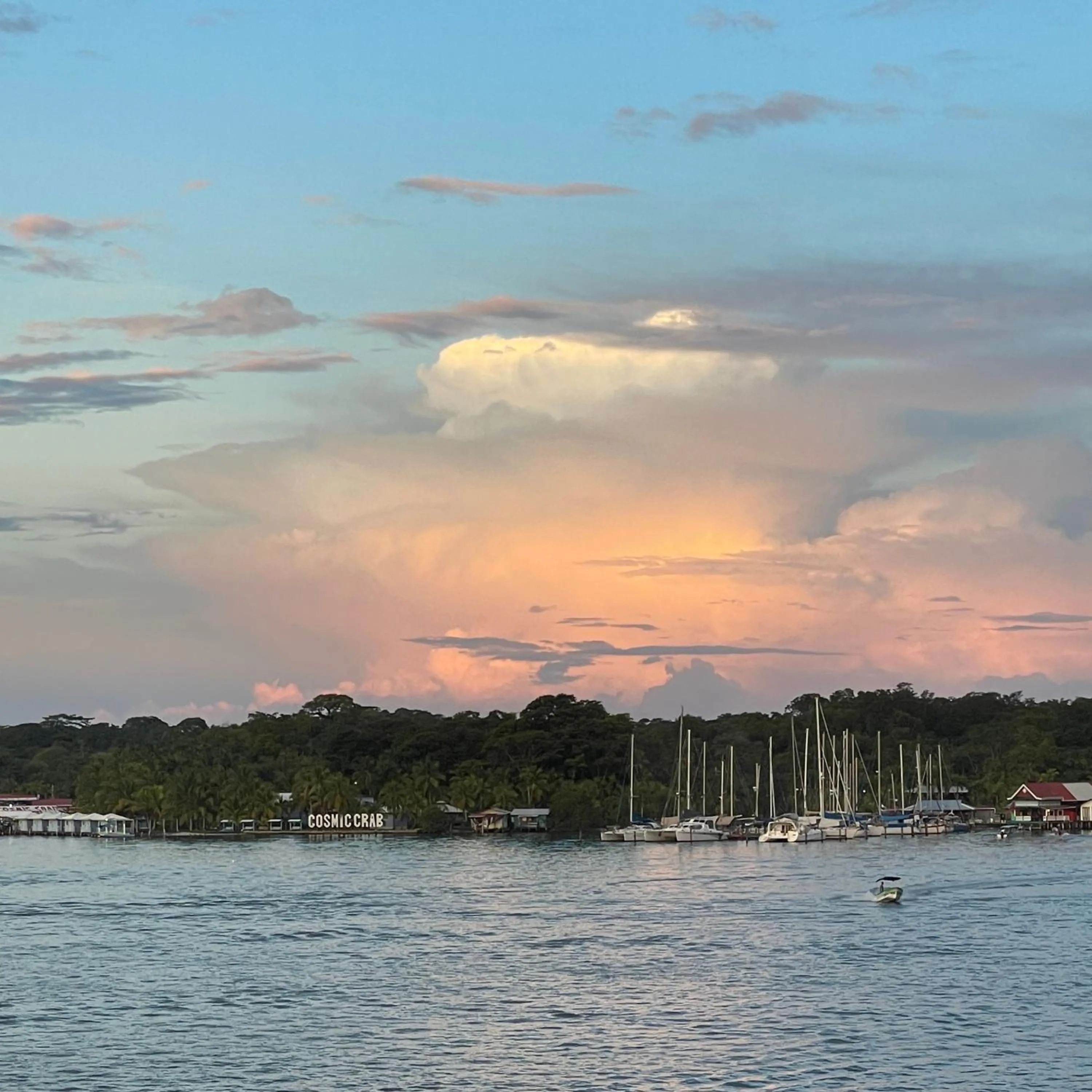 Natural landscape in Hotel Bocas Town