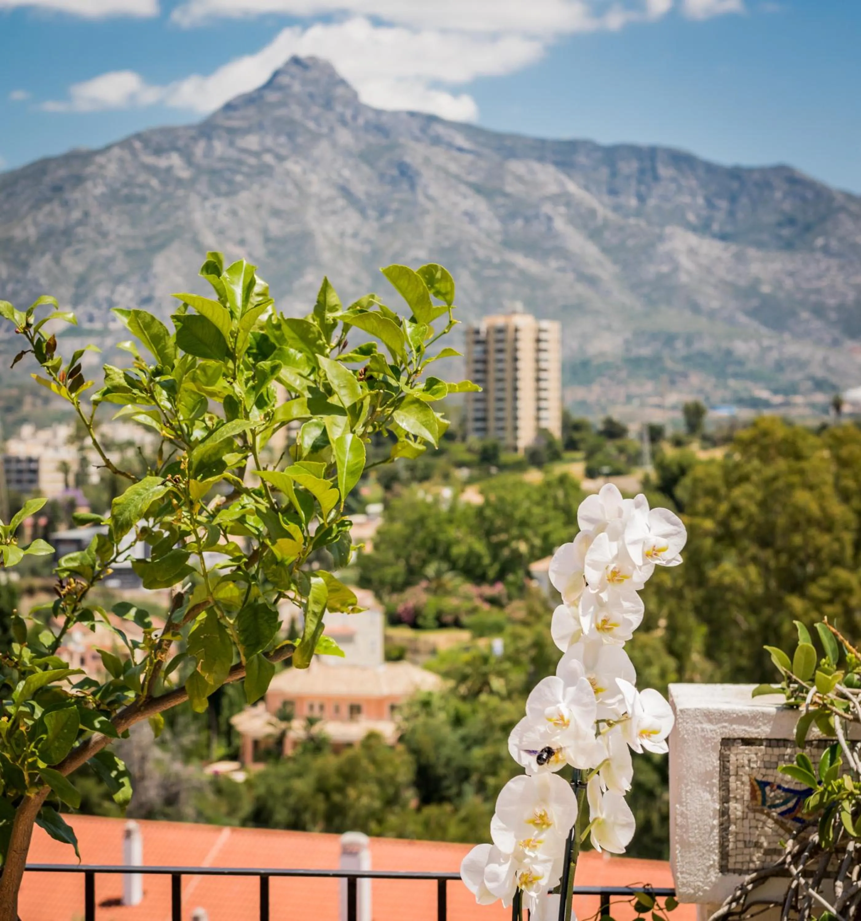 Property building in Molo Luxury Suites Puerto Banus