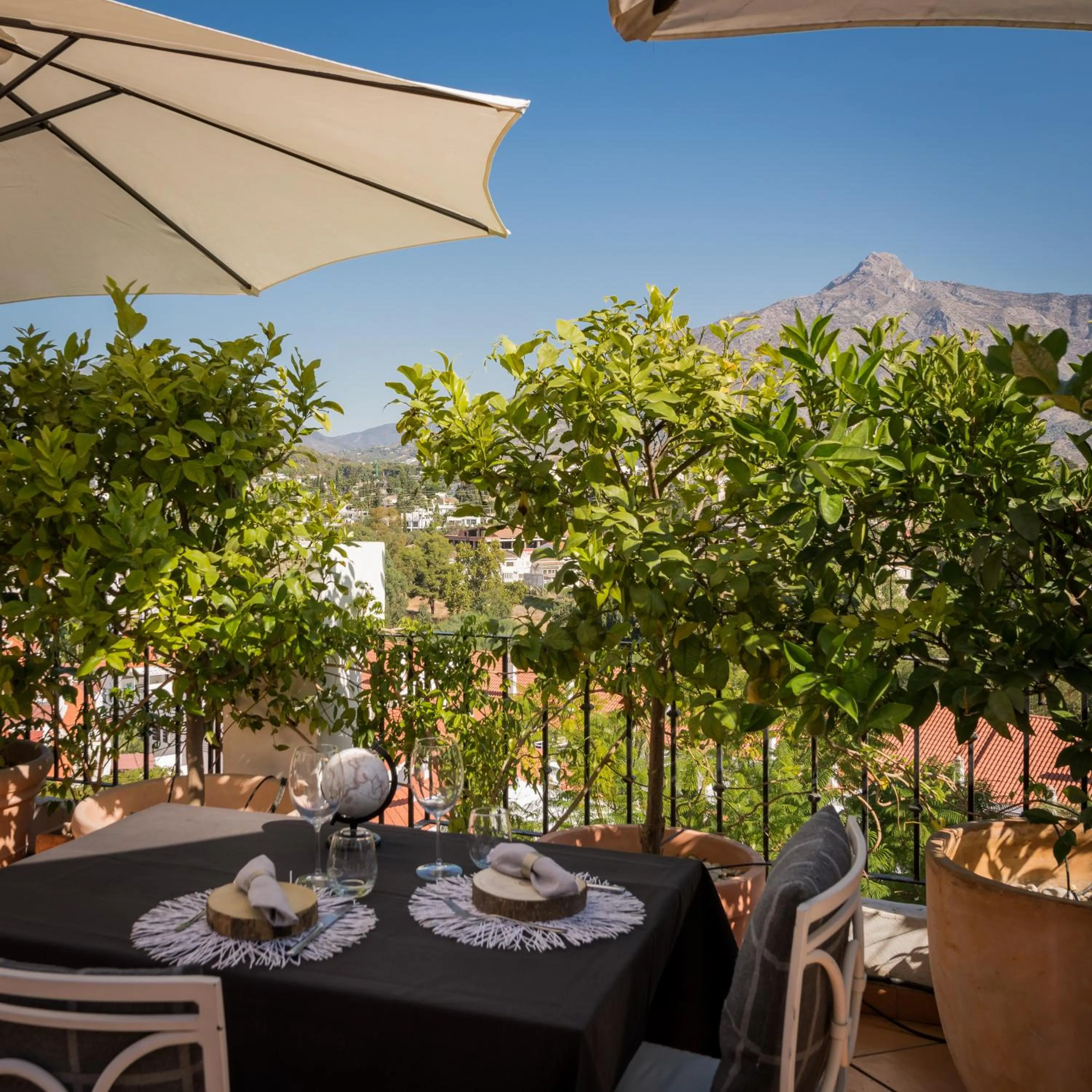 Restaurant/places to eat in Molo Luxury Suites Puerto Banus