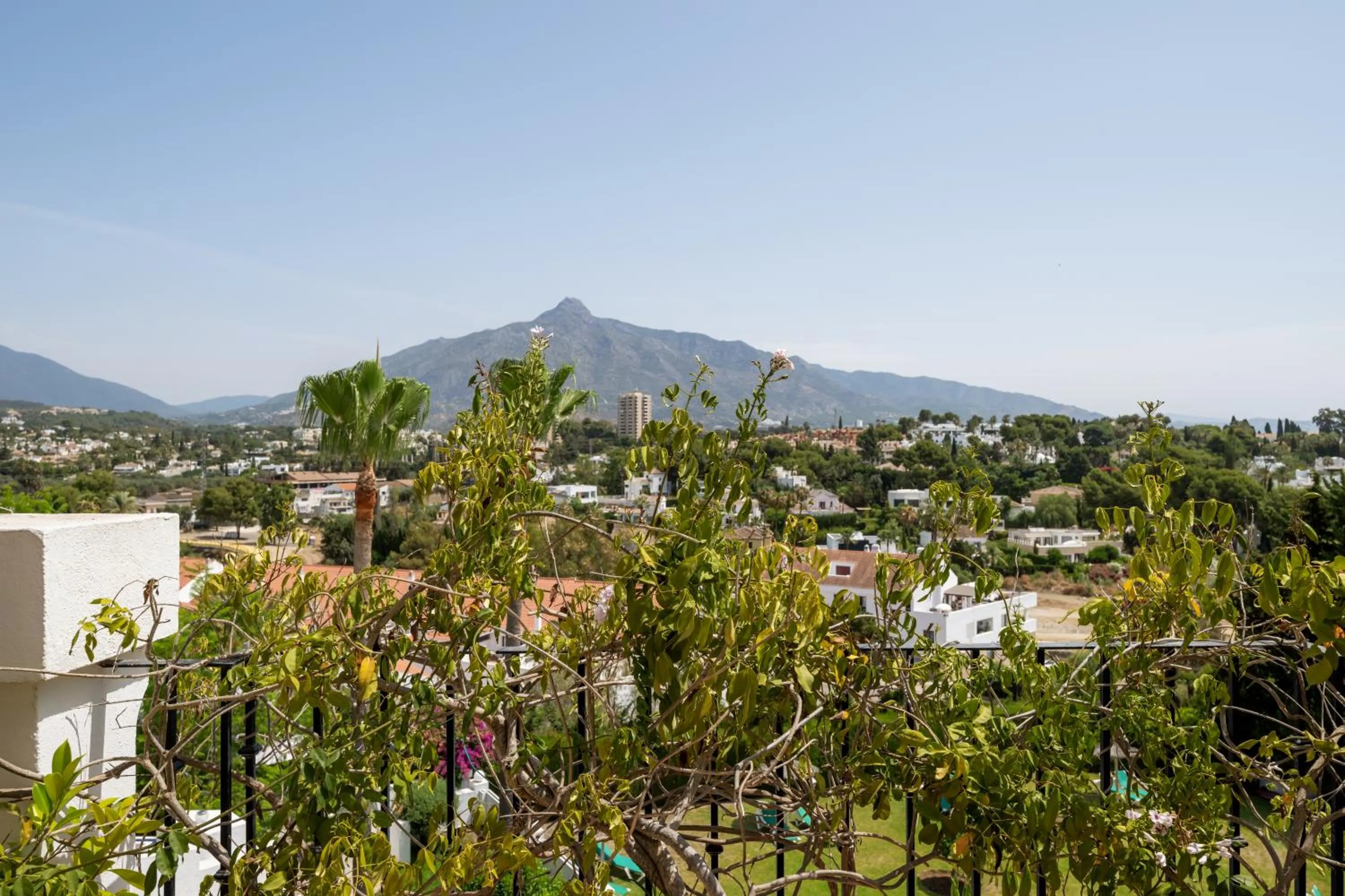 Natural landscape in Molo Luxury Suites Puerto Banus