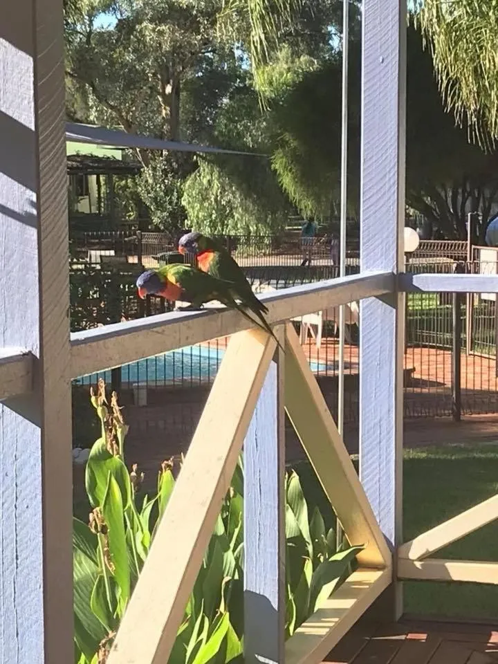 Tambo Mill Motel & Caravan Park