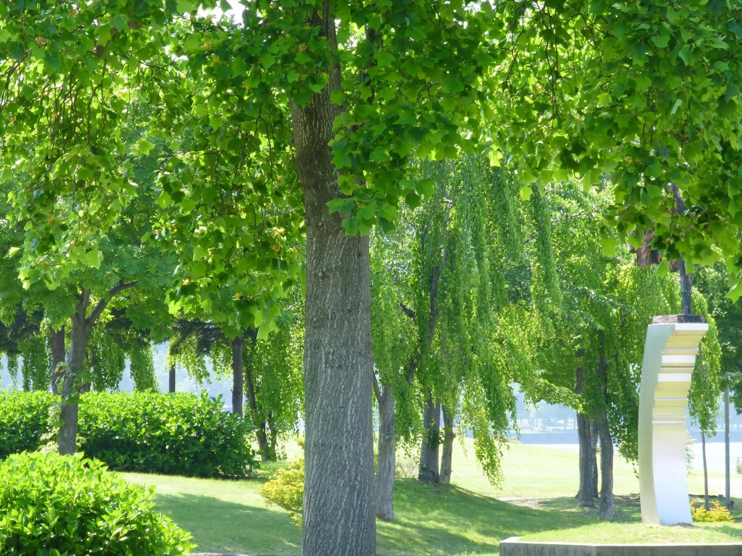 Off site in Kohan no yado Kojima